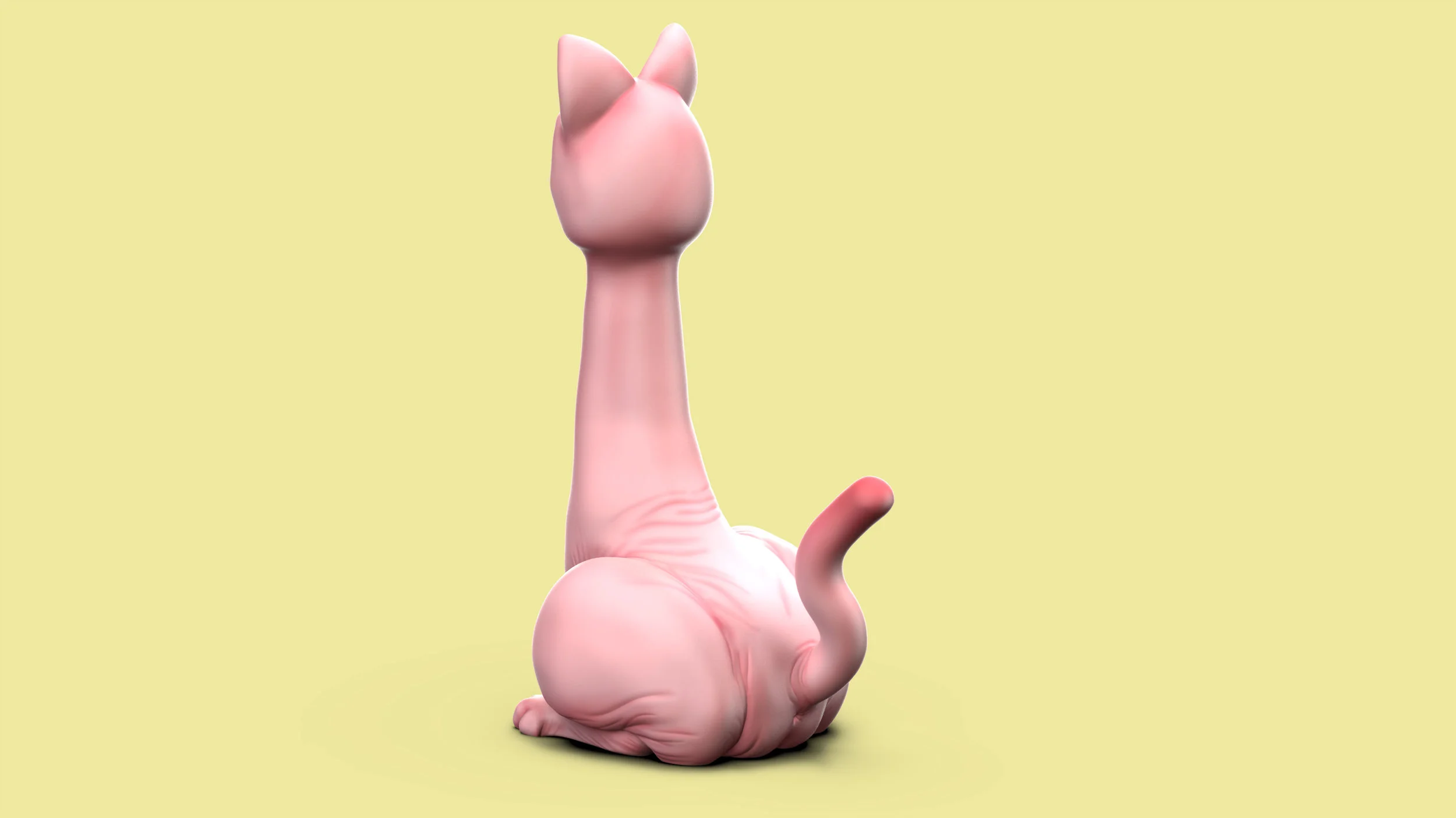 DildoCatTurntable.jpg
