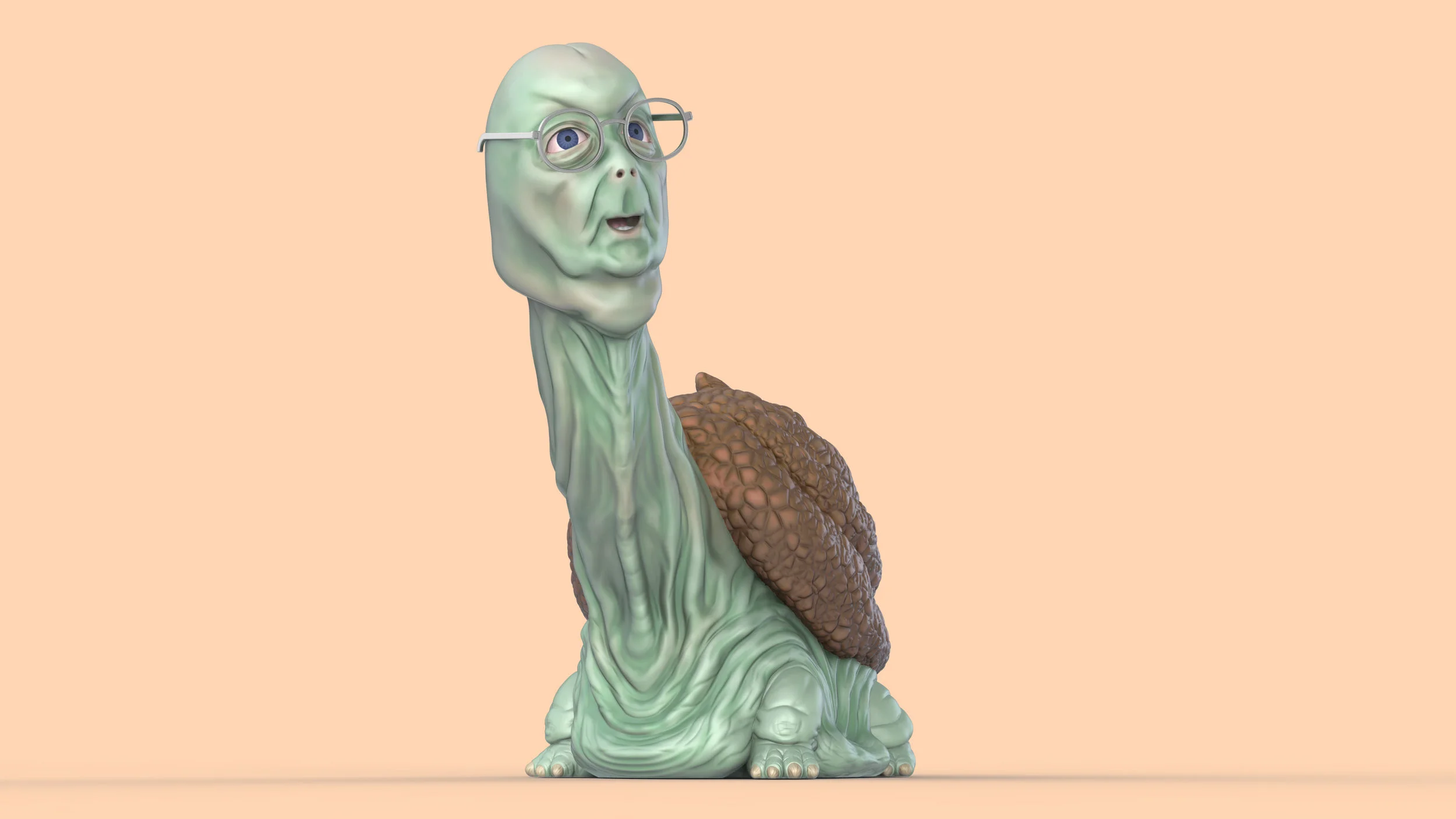 Turdle_Front.jpg