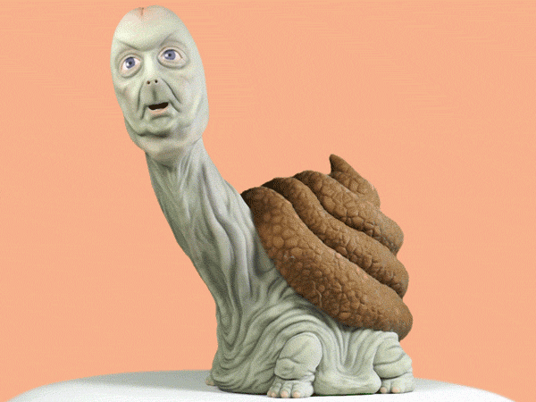 The Near-Sighted Turdle