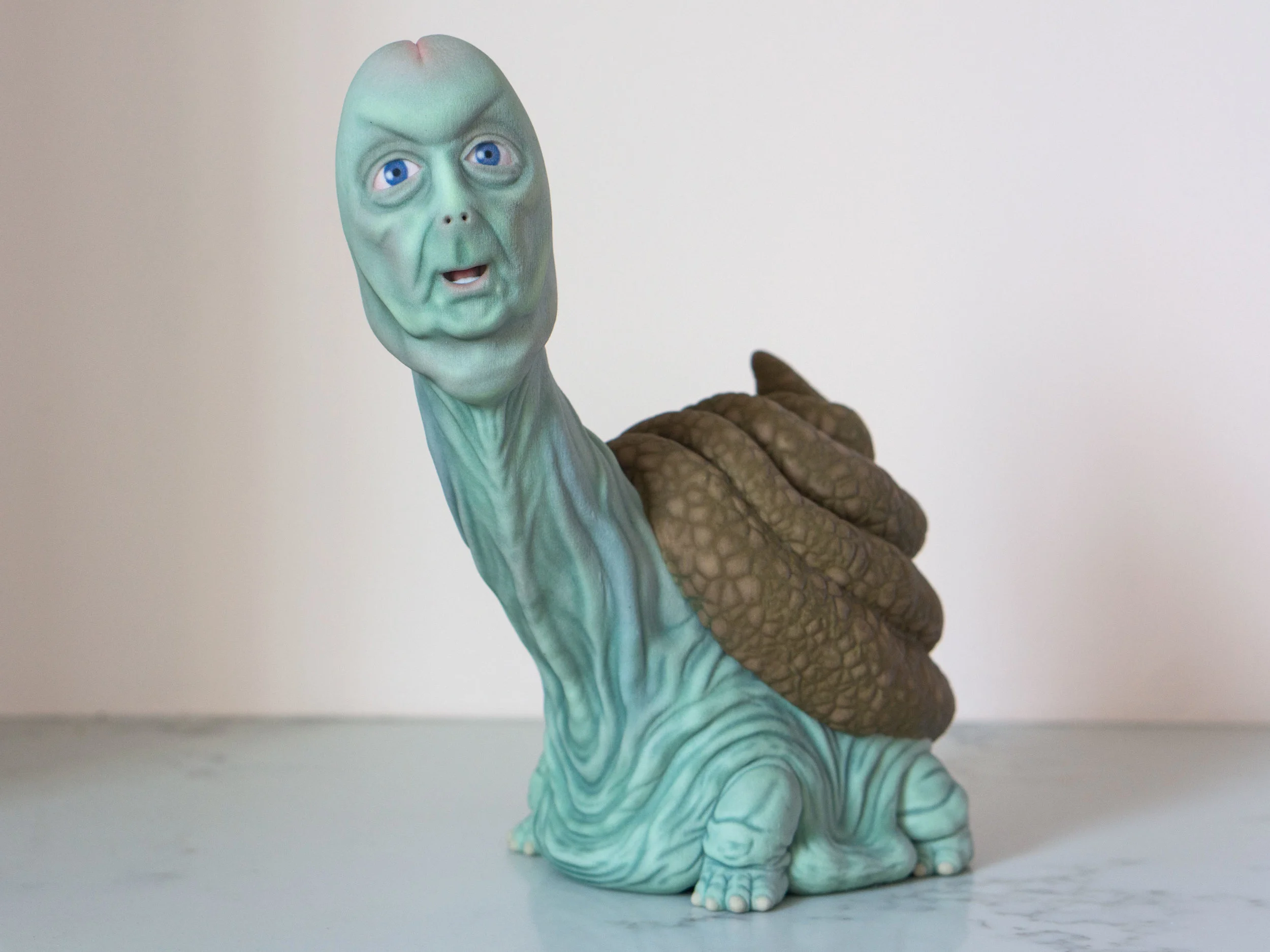 Turdle Full-Color Sandstone Print