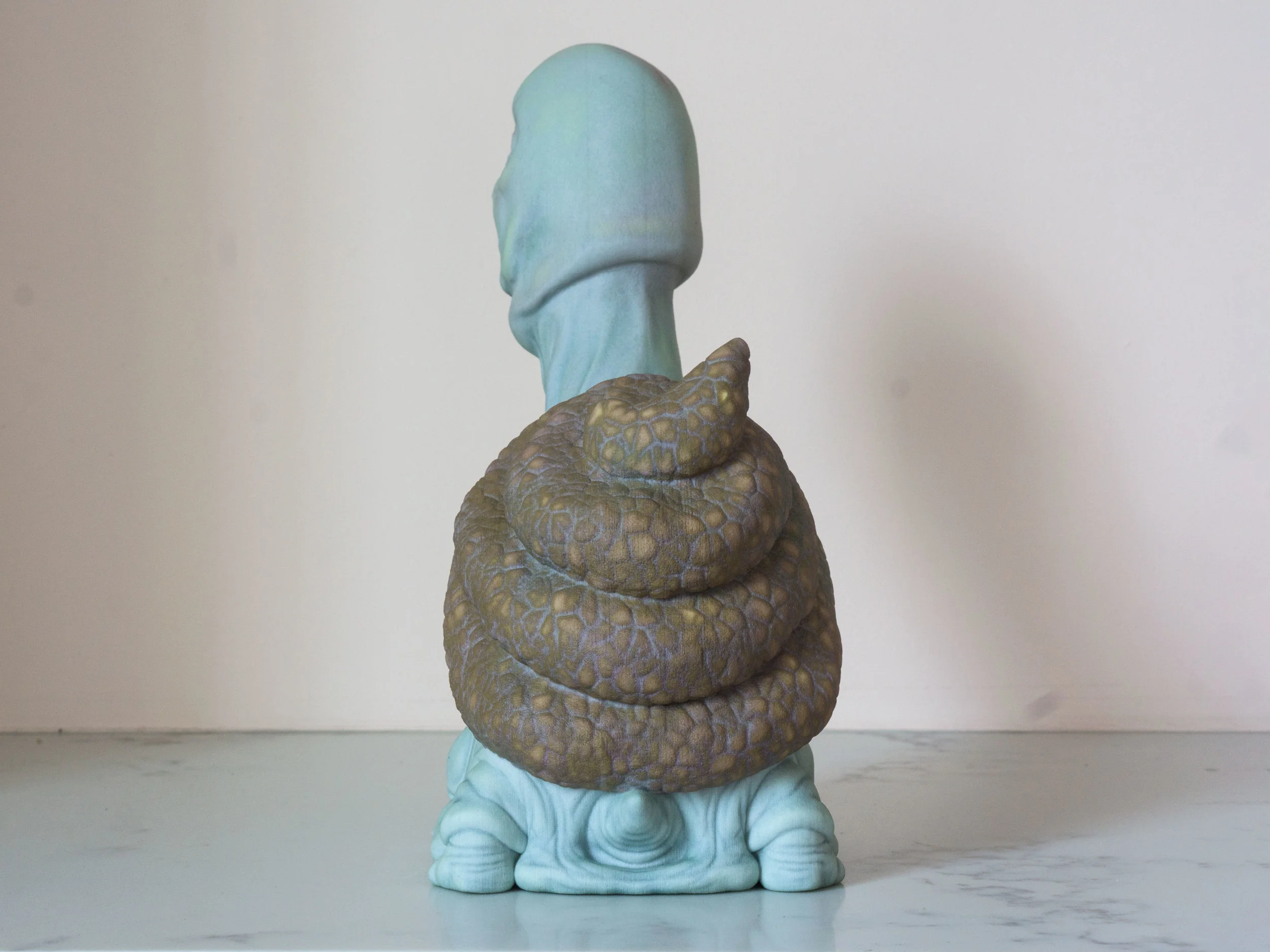 Turdle Full-Color Sandstone Print