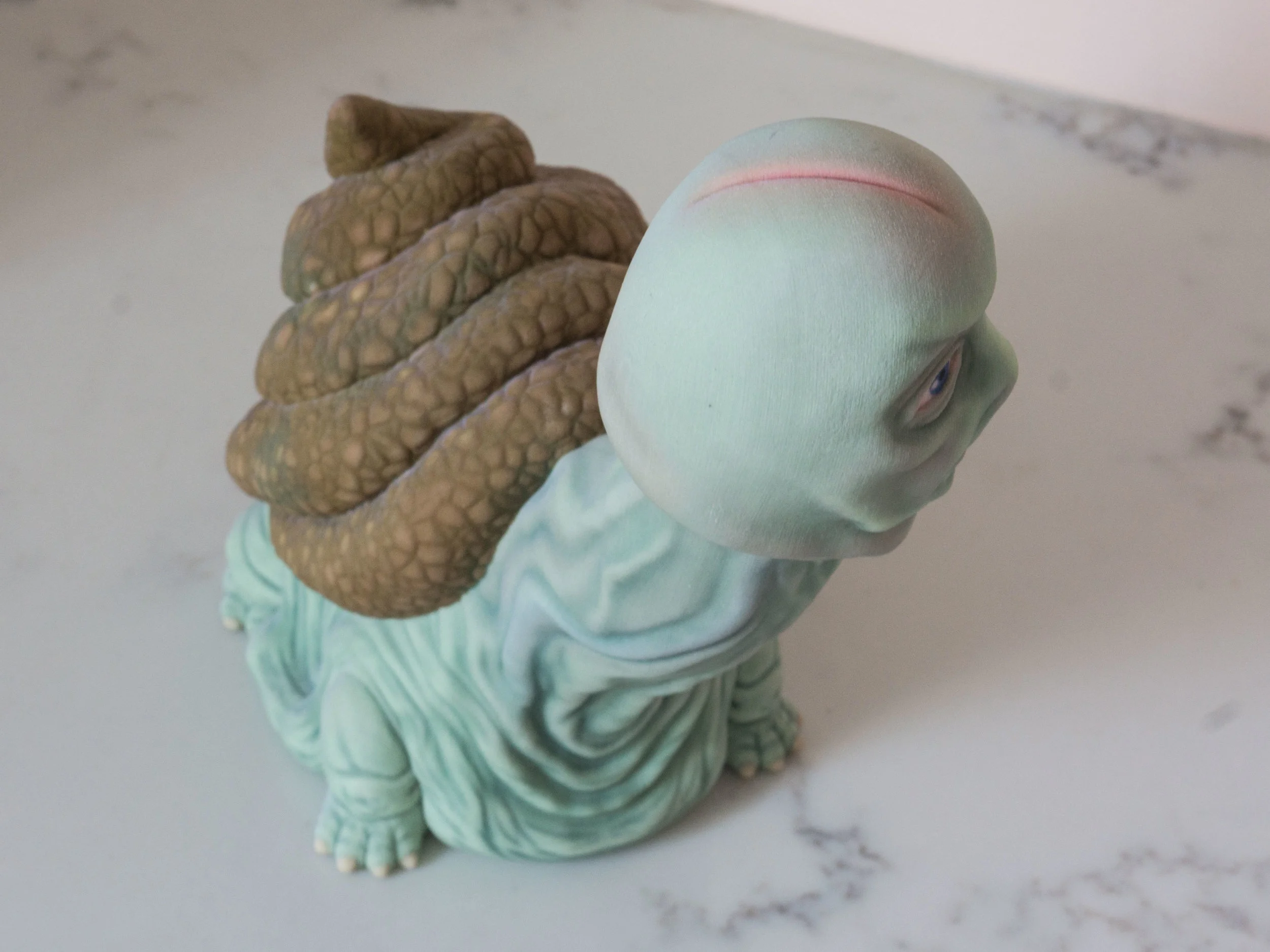 Turdle Full-Color Sandstone Print