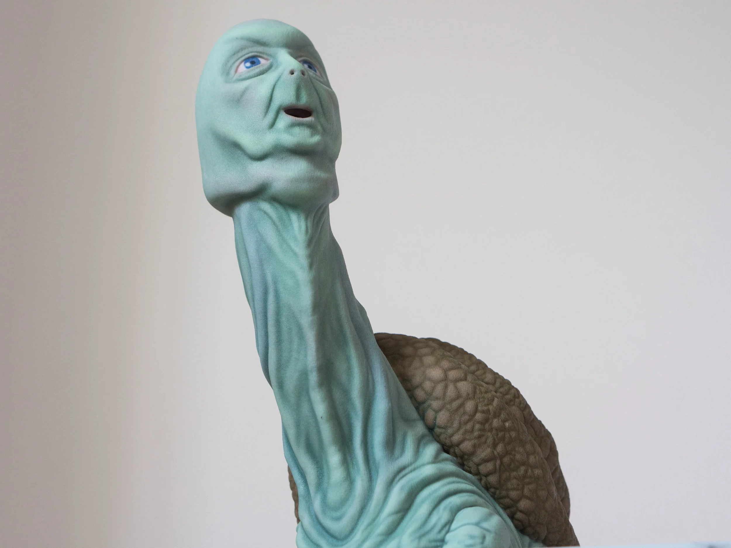 Turdle Full-Color Sandstone Print