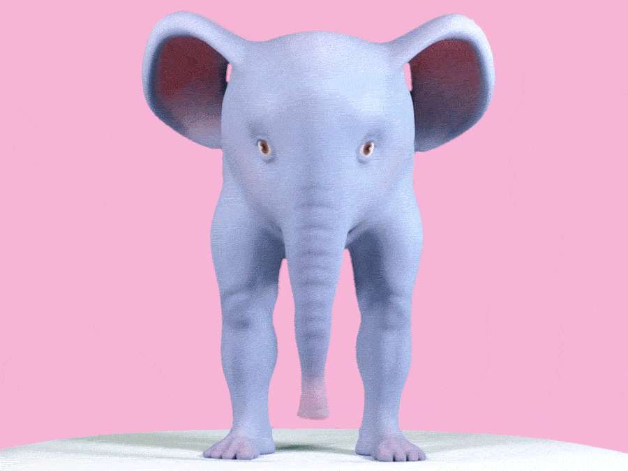 Elephant_WEB_360.gif