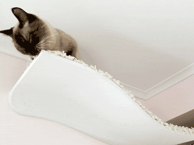 Wave of Cuteness Cat Shelf