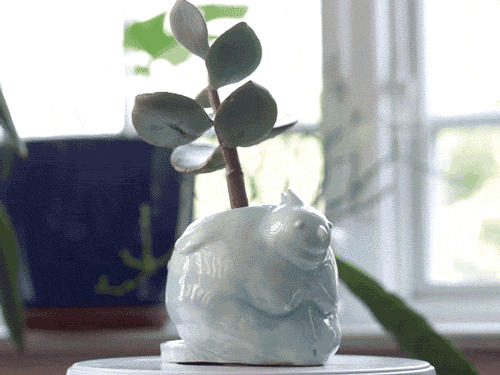 Fatbird Planter