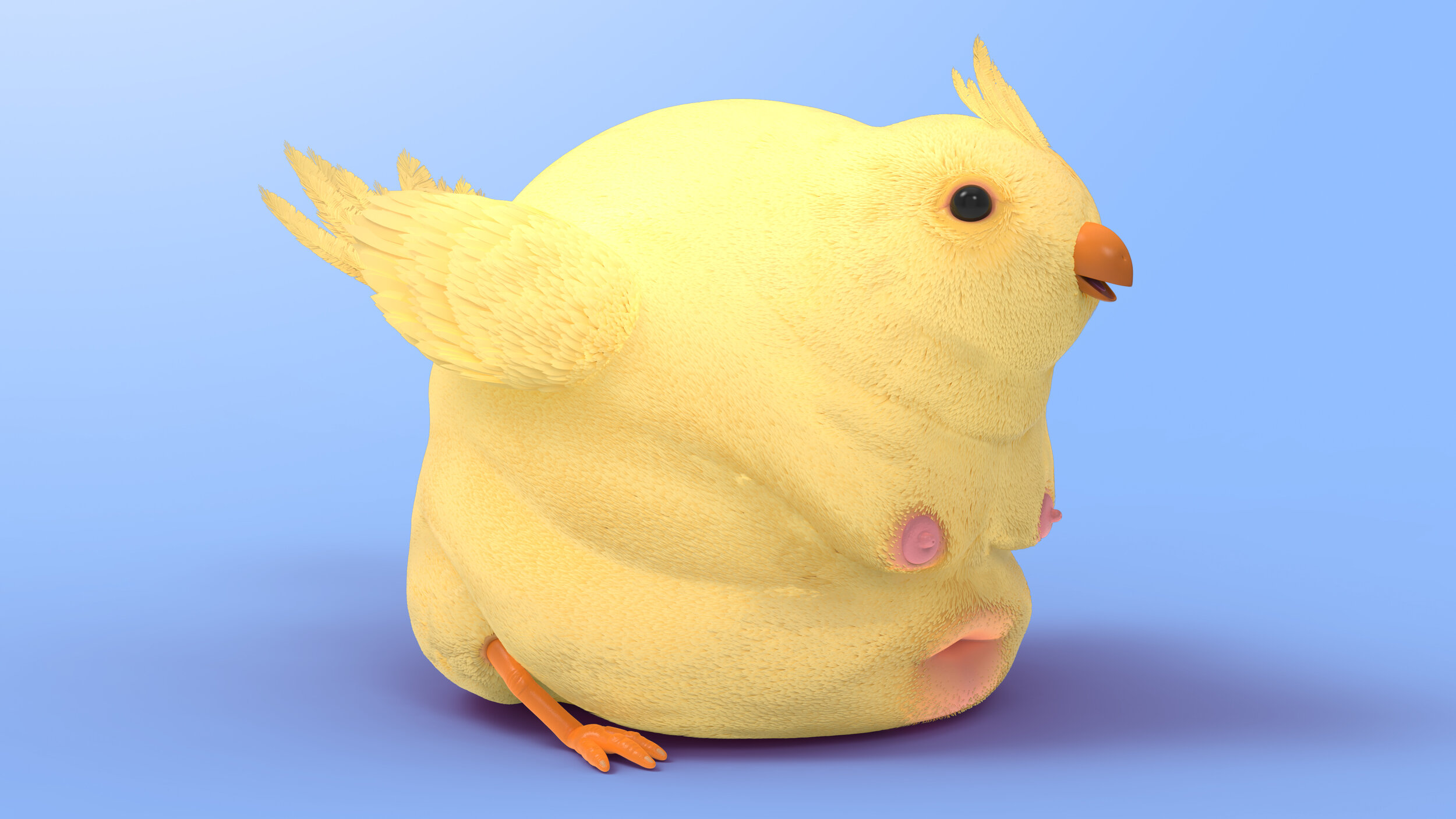 Fatbird2020_Fuzzy3.jpg