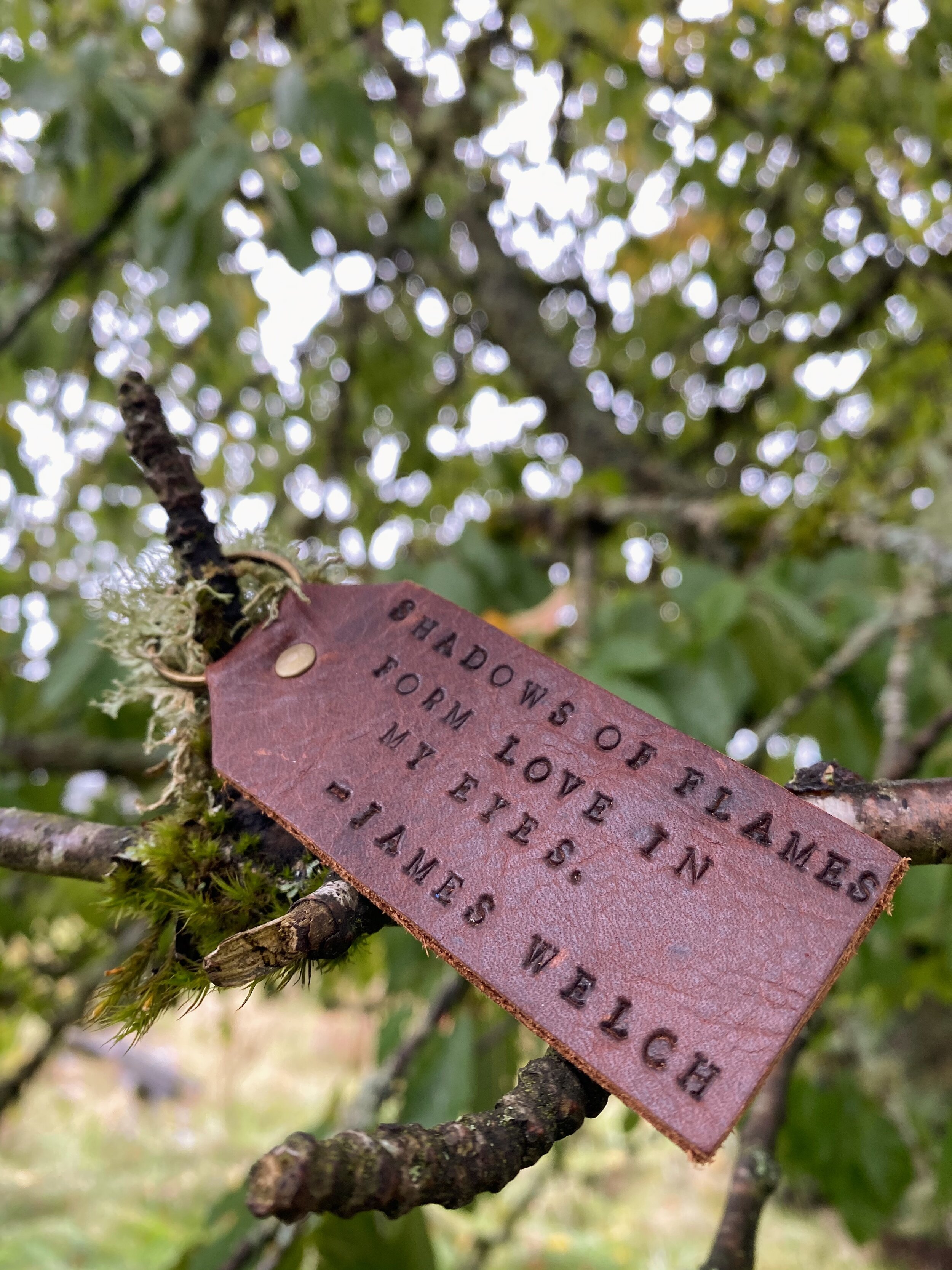 Shadows of flames in tree.JPG