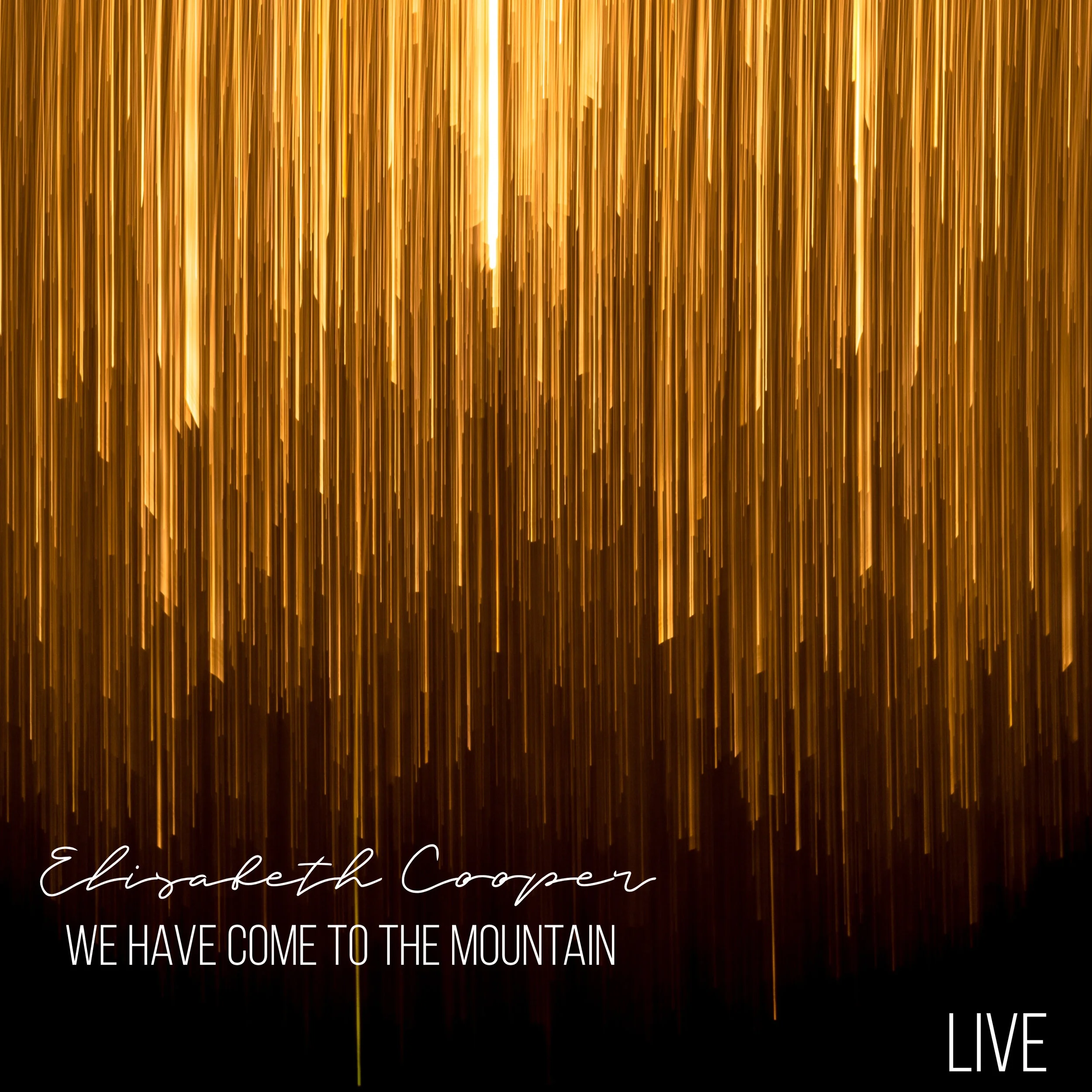 GoDaddyStudioPage-0 2.jpeg