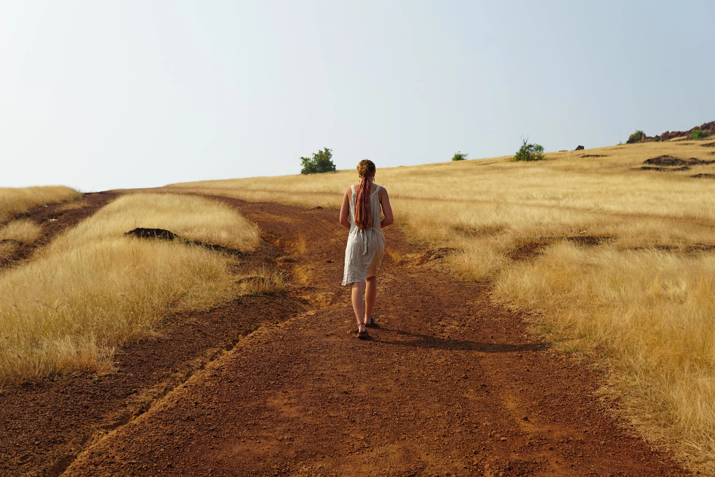 An Ode to Rage, Soul, Intuition: Things of Our Wildish Nature