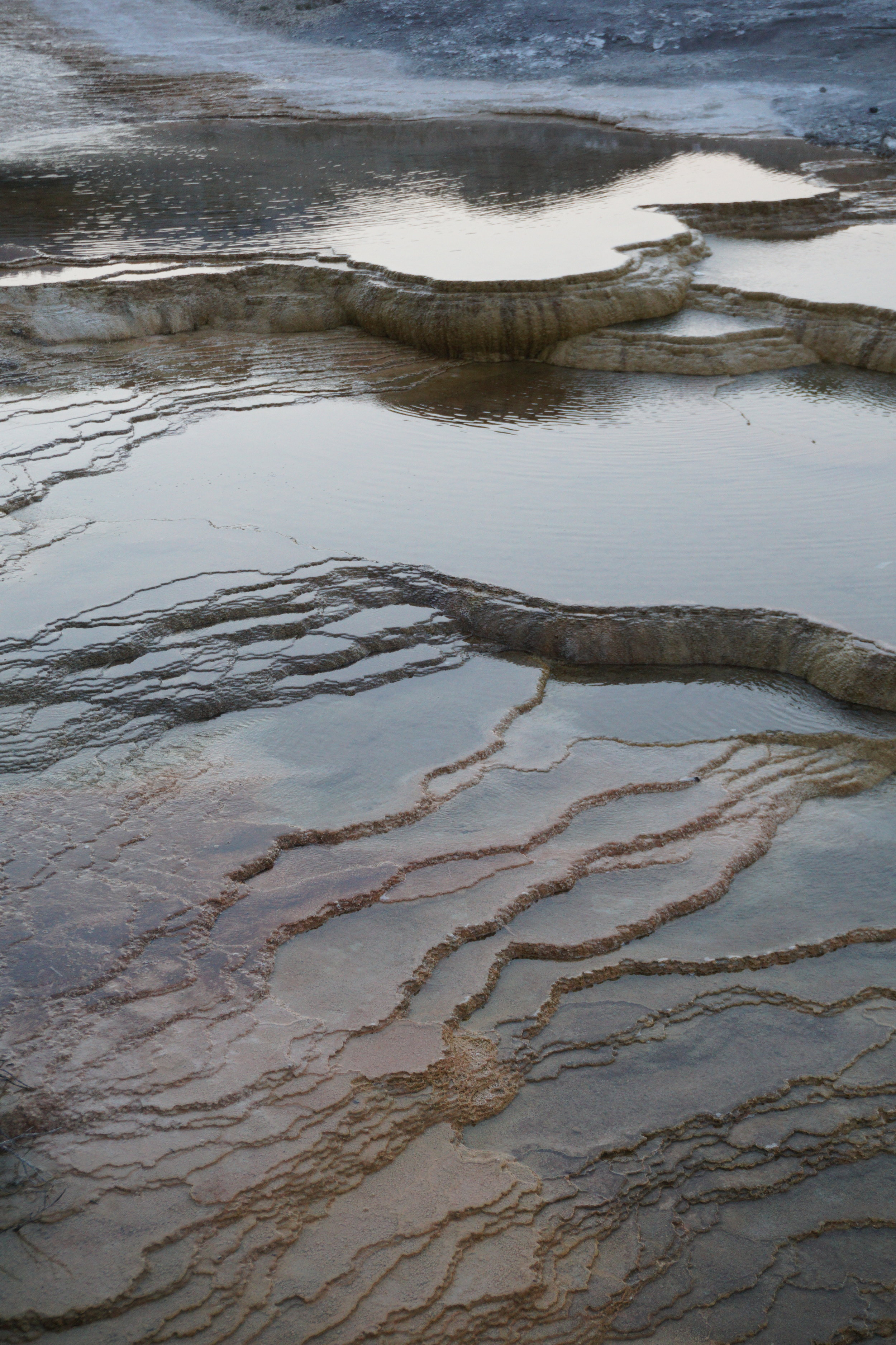 Understanding Adversity