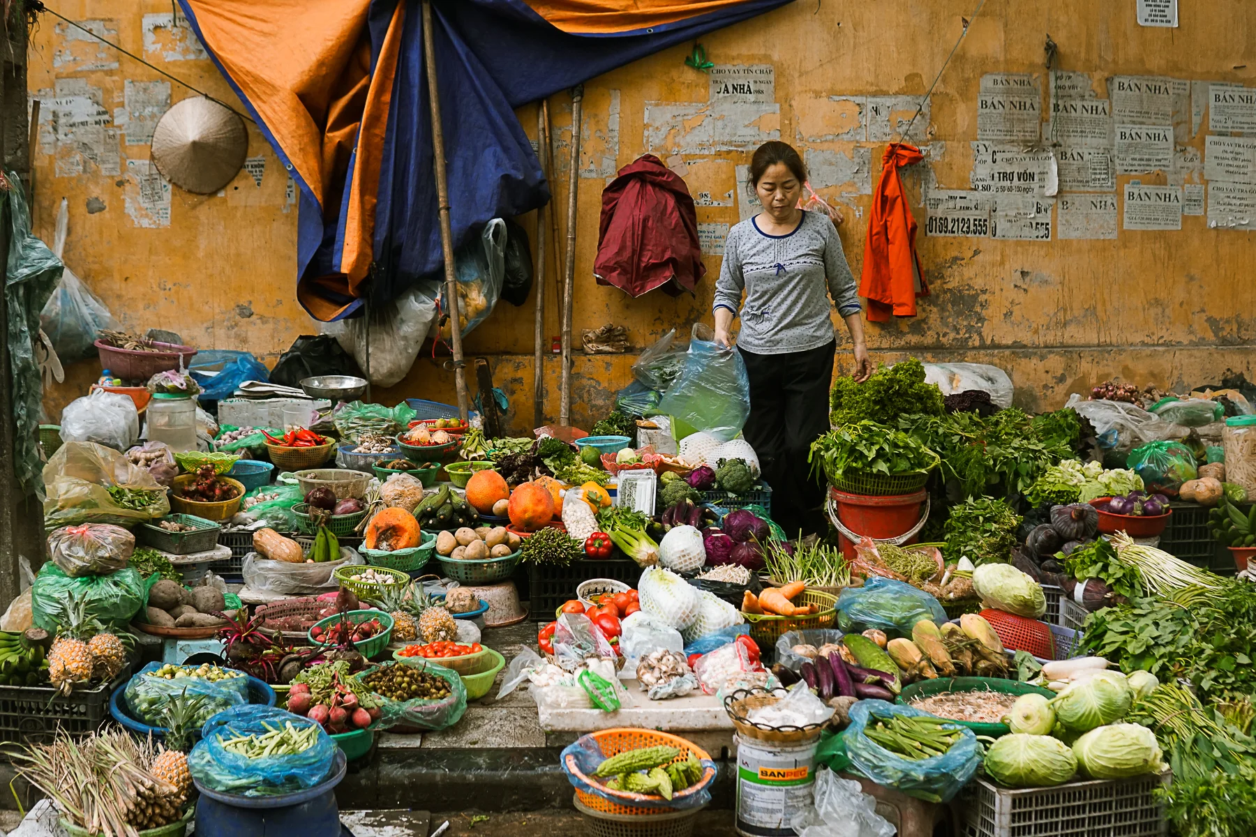 6 Months In Vietnam