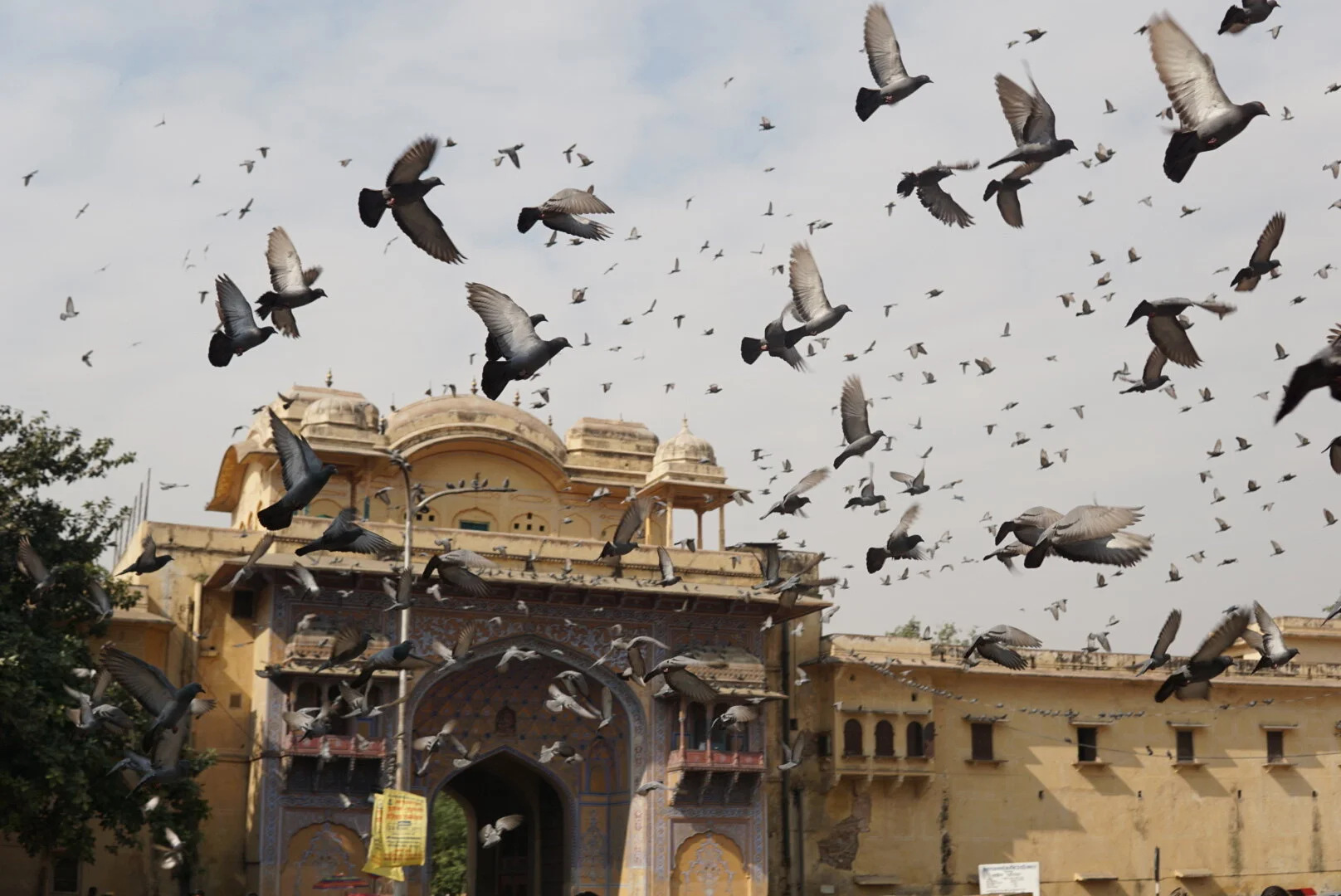 What if I told you...