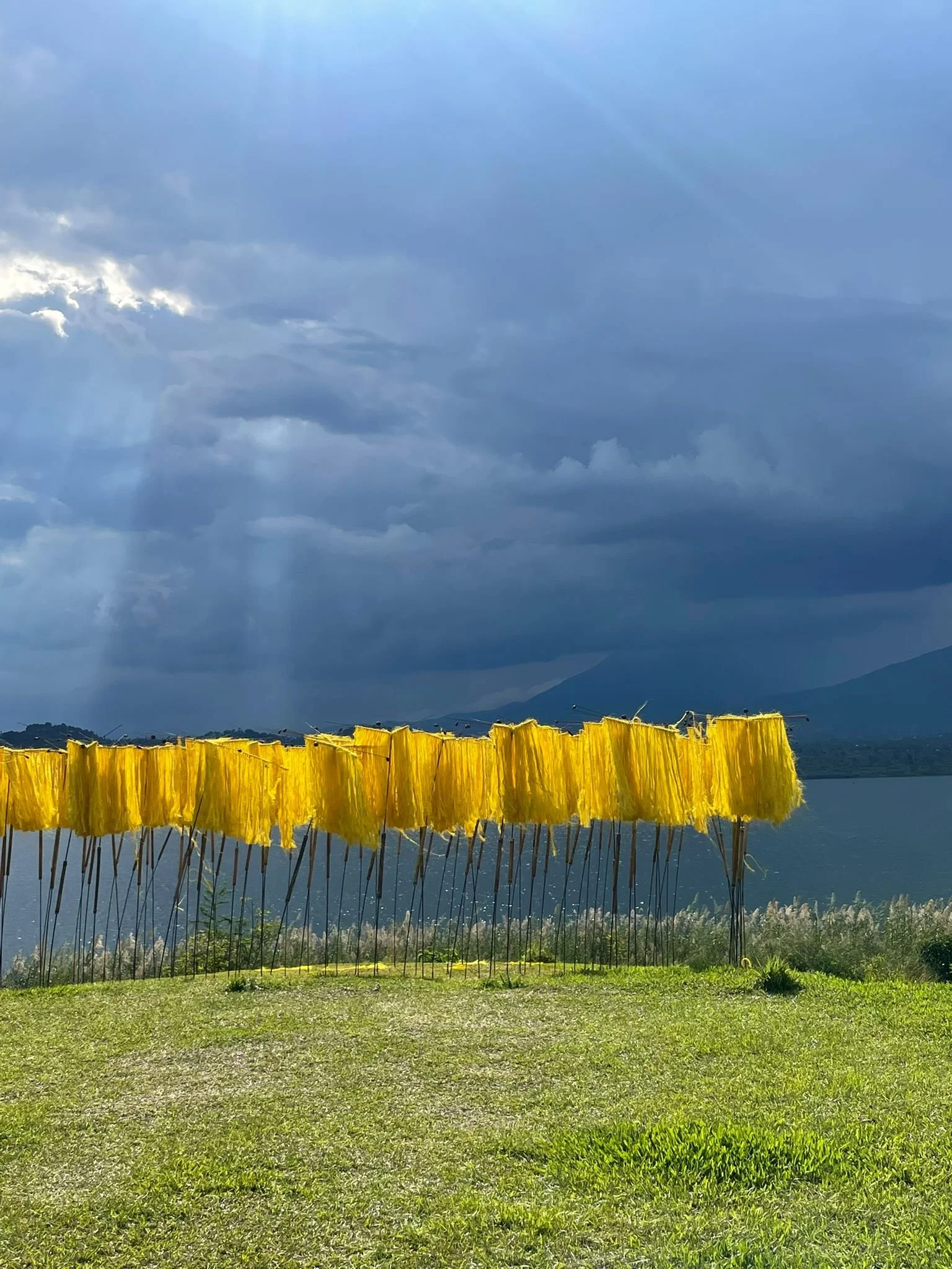 "Woven Together: A Bright Future" 