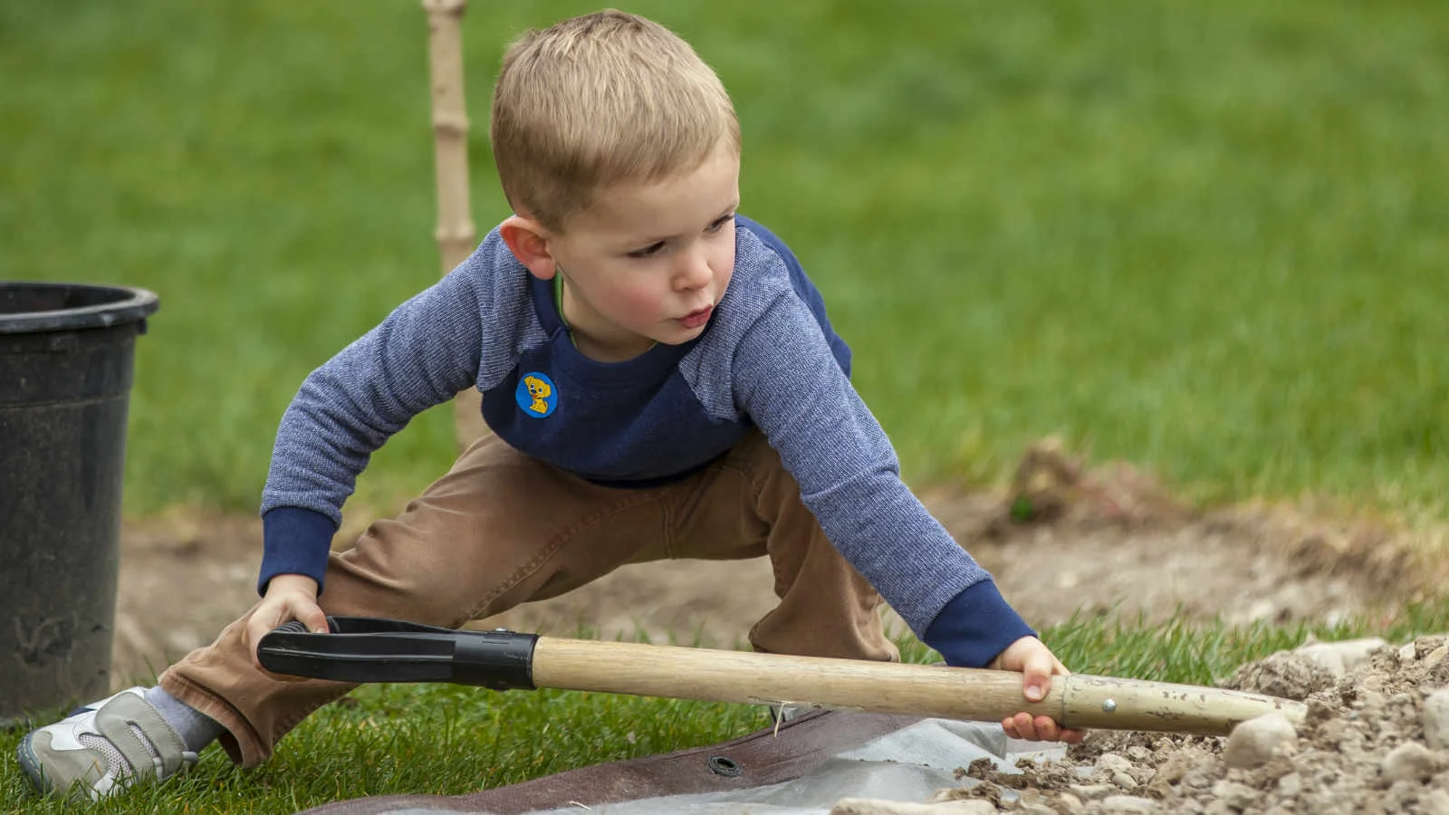  Arbor Day Tree Planting Project