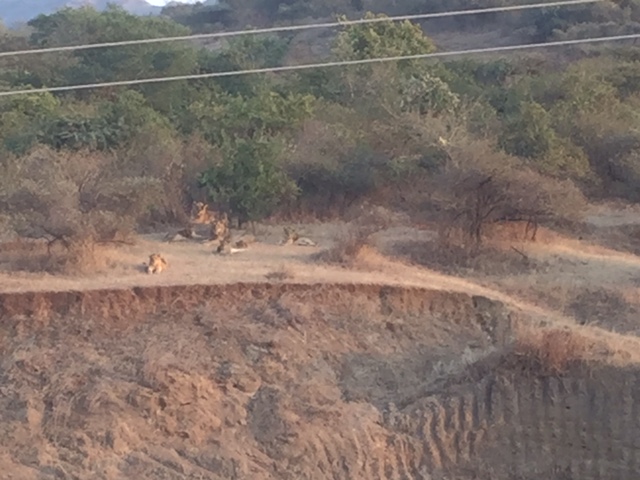image7.jpeg