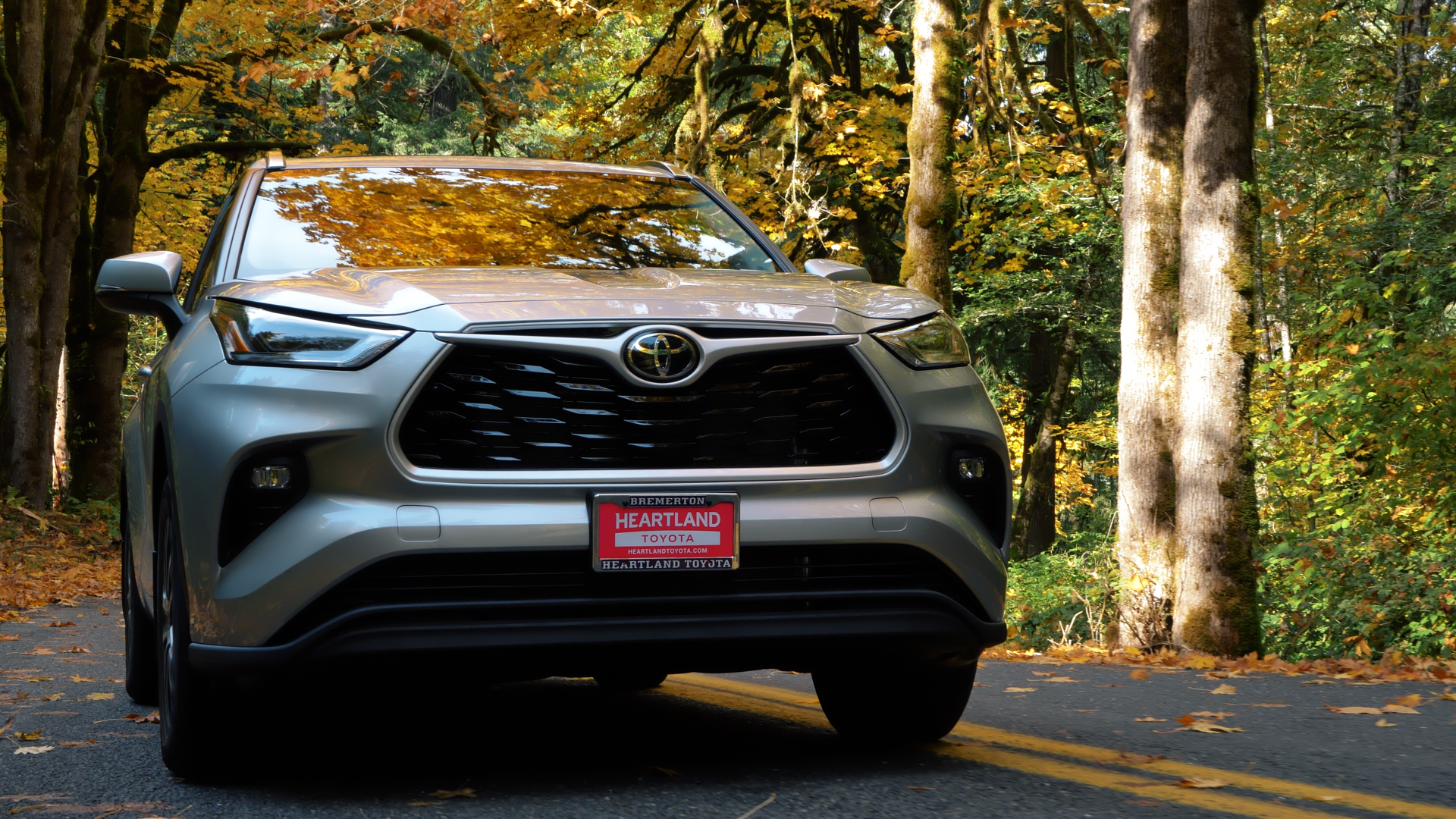 Video Production Snip 12_00000.png