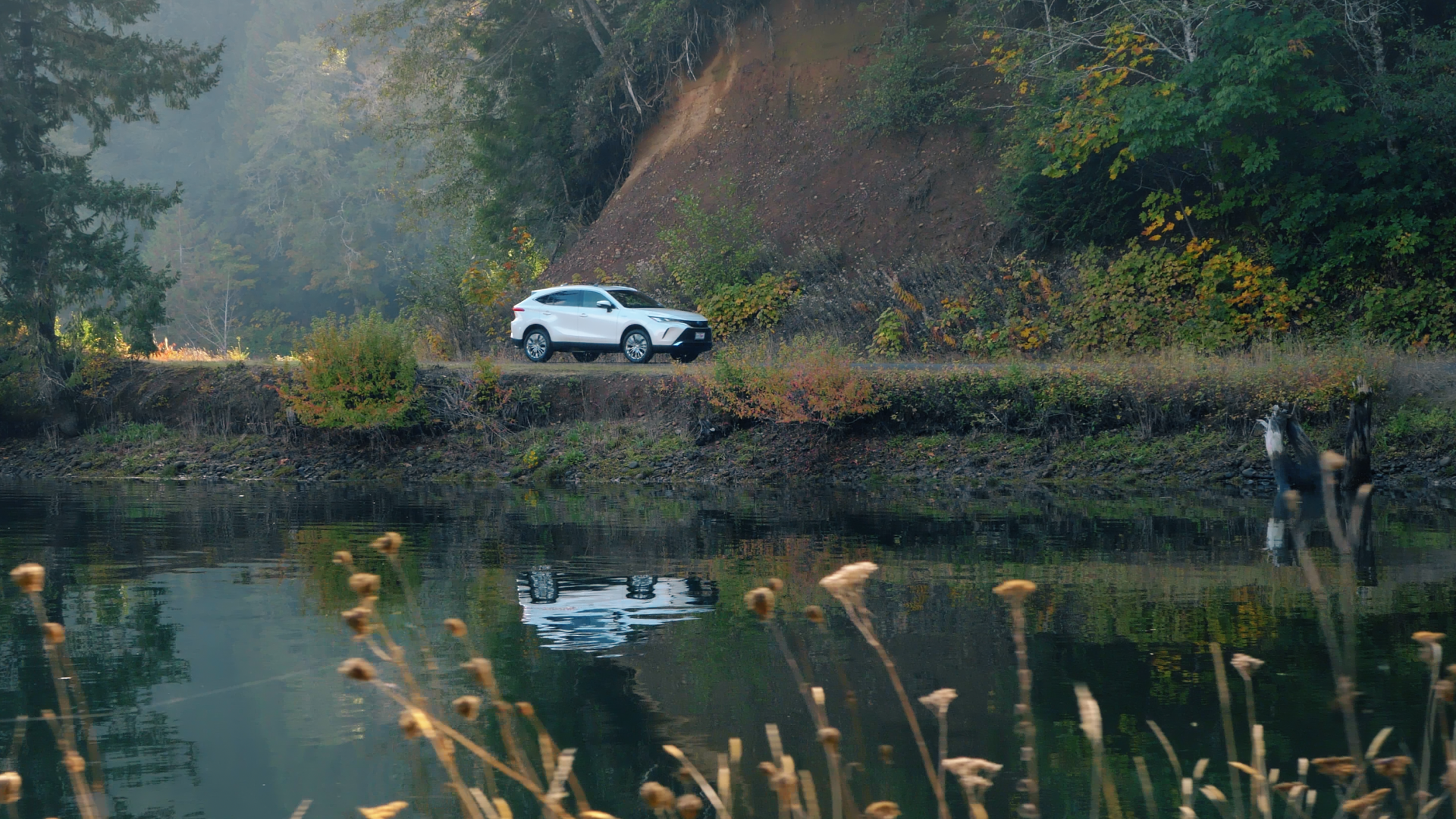 Video Production Snip 13_00000.png