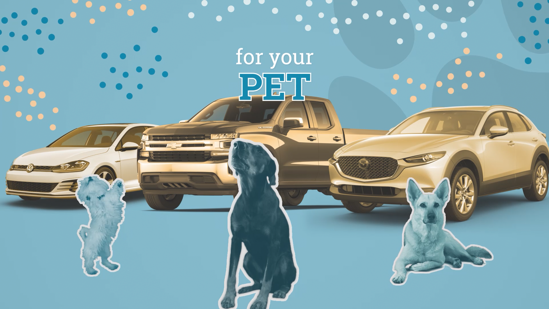ur pet_00000.png