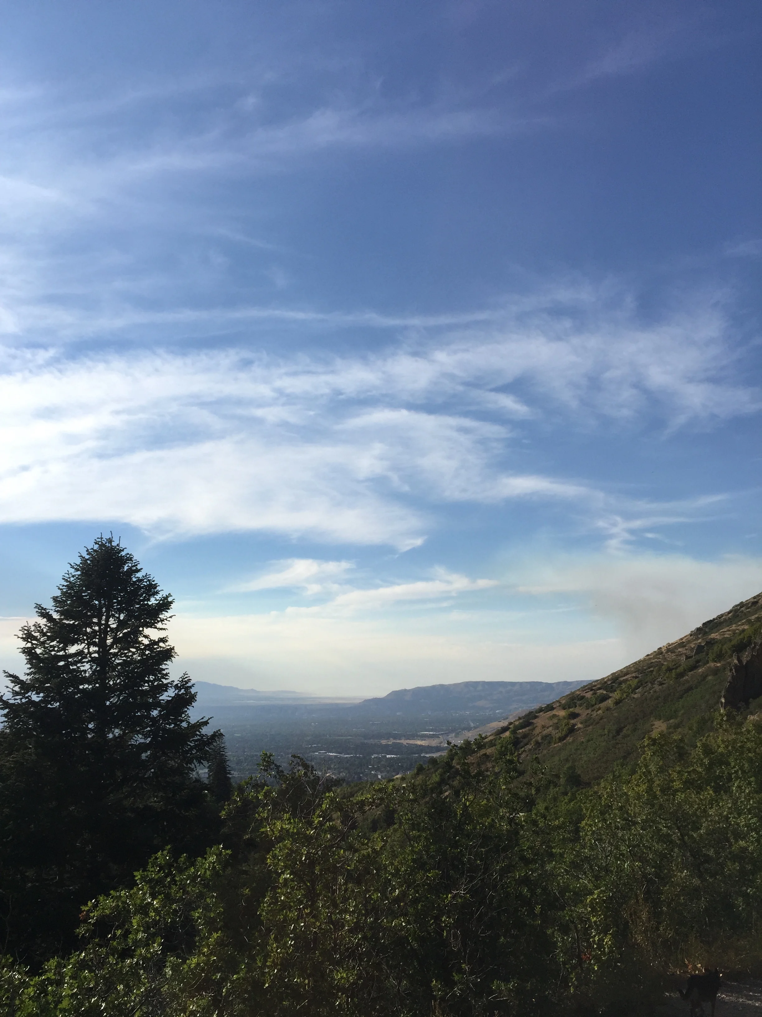 There's Salt Lake City looking all cute and quaint from half a mile in.