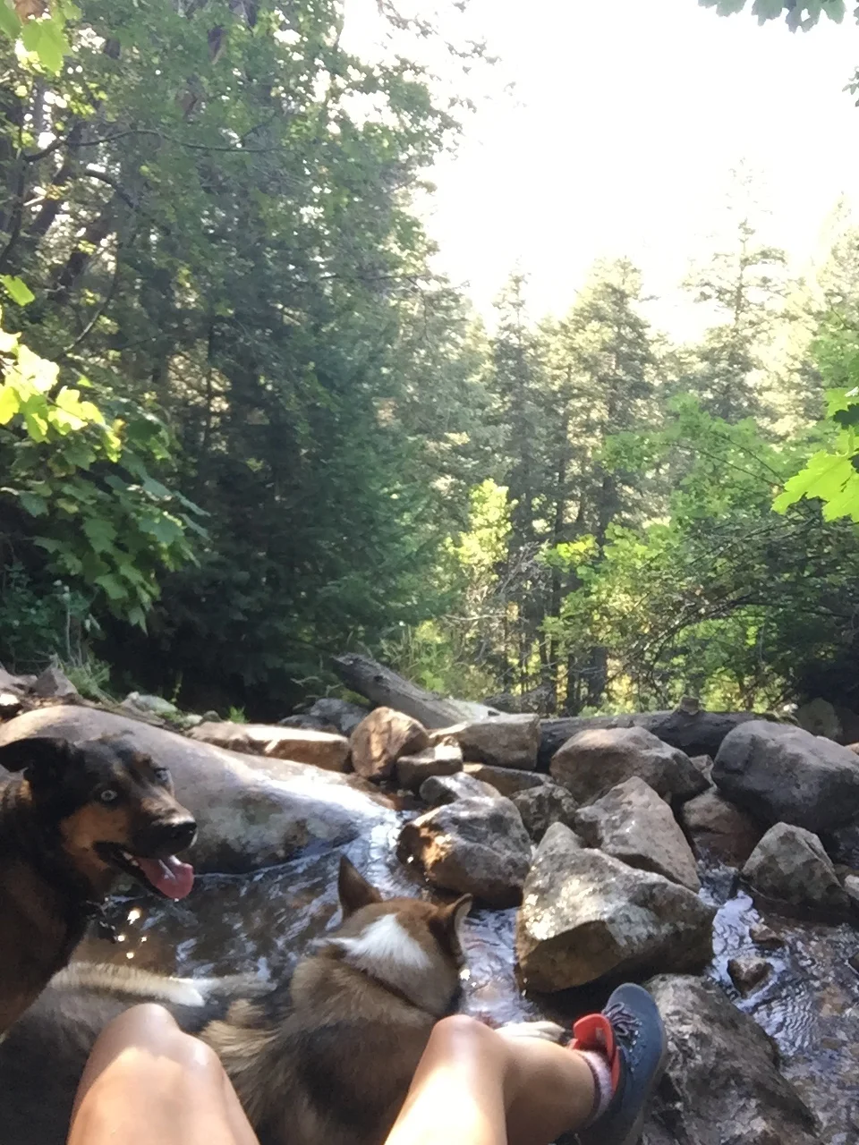 Neffs Canyon waterfall sit.jpg