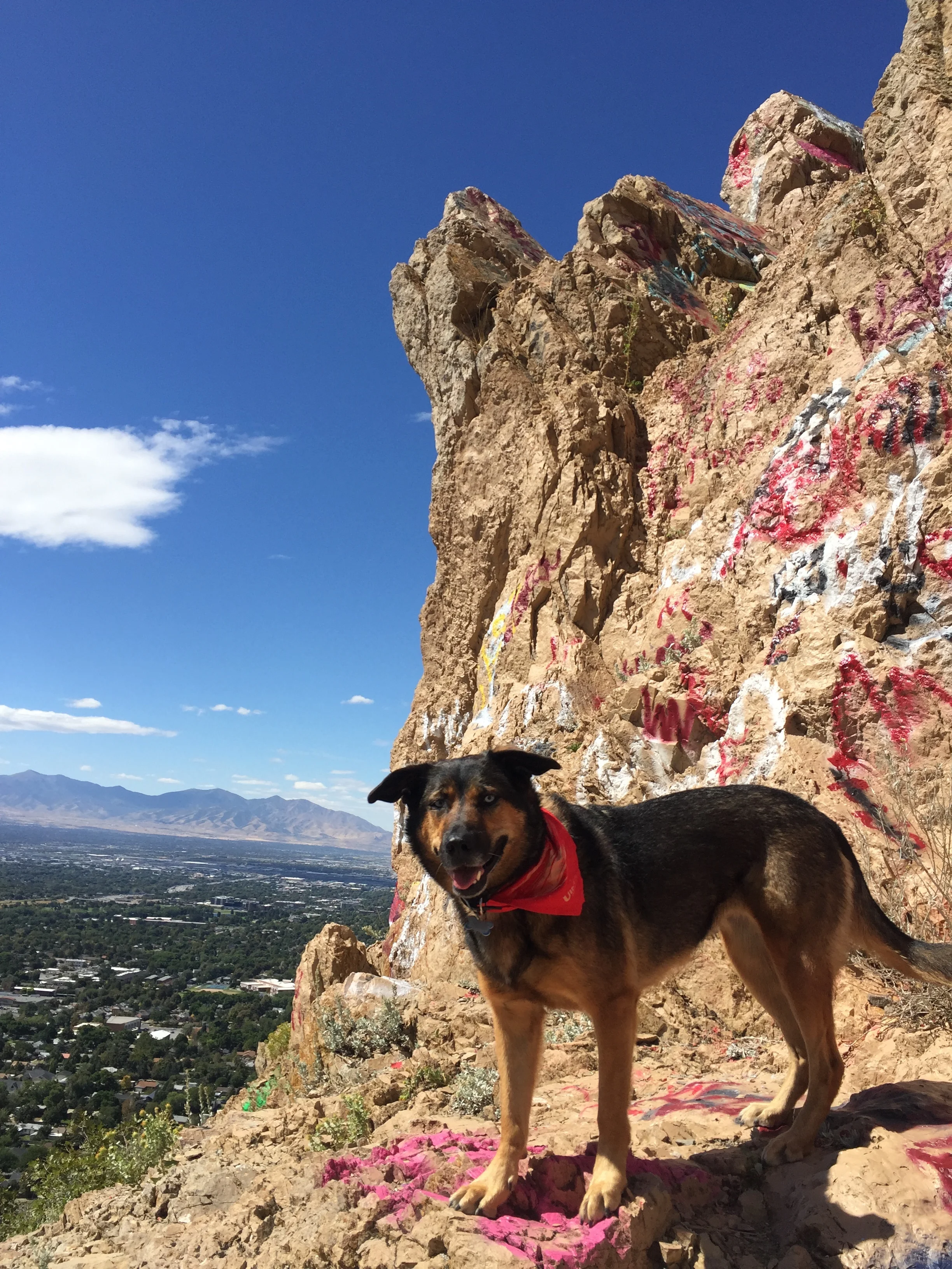 We took the trail next to this graffiti wall so we could check out the H close up. I did a bit of digging and it looks like this is an ongoing prank done by Highland High School to "mark their territory".