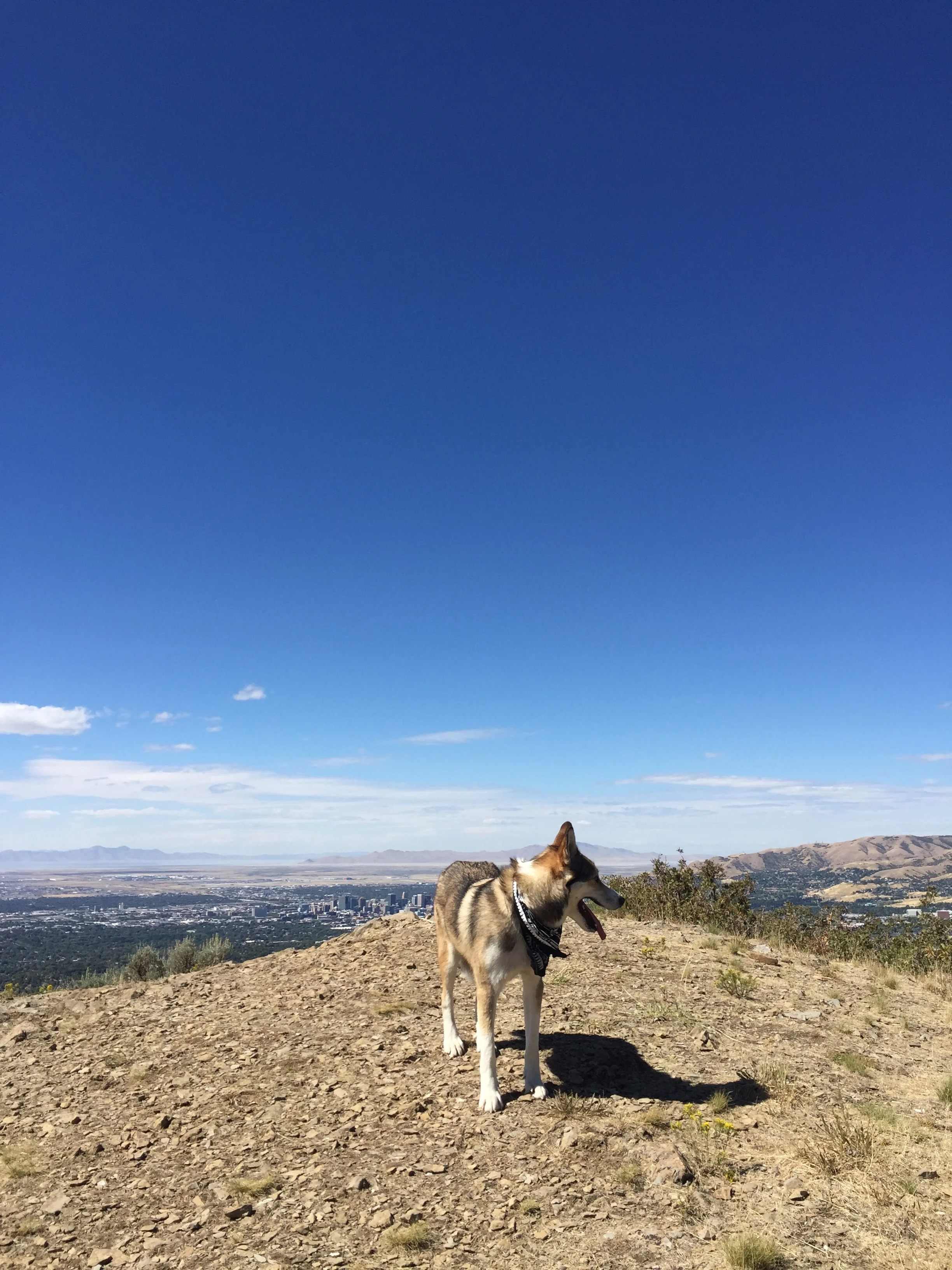 Views of The Great Salt Lake, The University of Utah, and the State Capitol building.