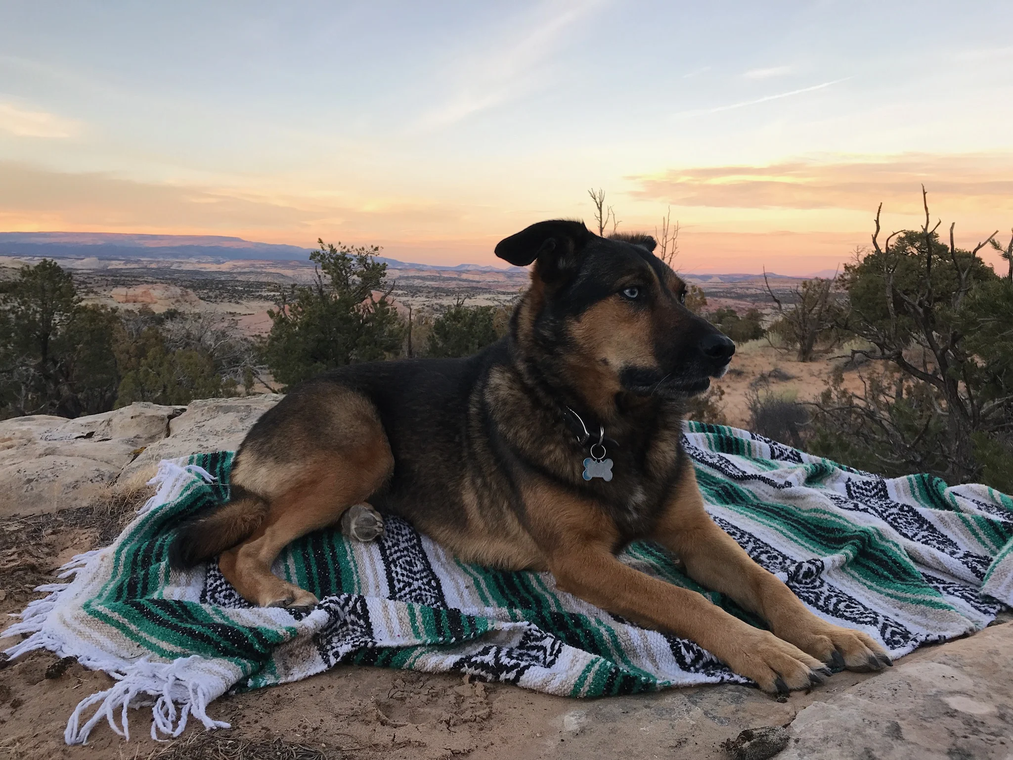 Osa in our sunset spot.