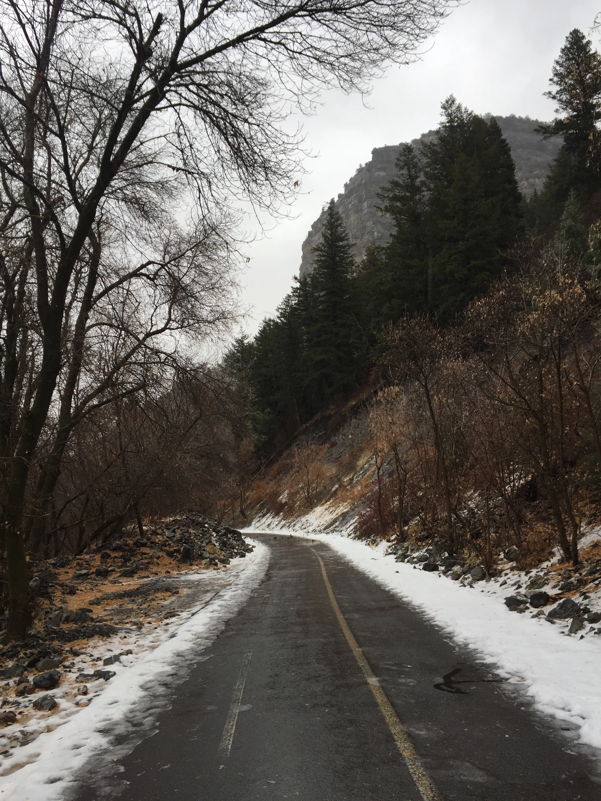 The paved portion of the hike. Some spots were as shown above while others had more snow/ice coverage. 