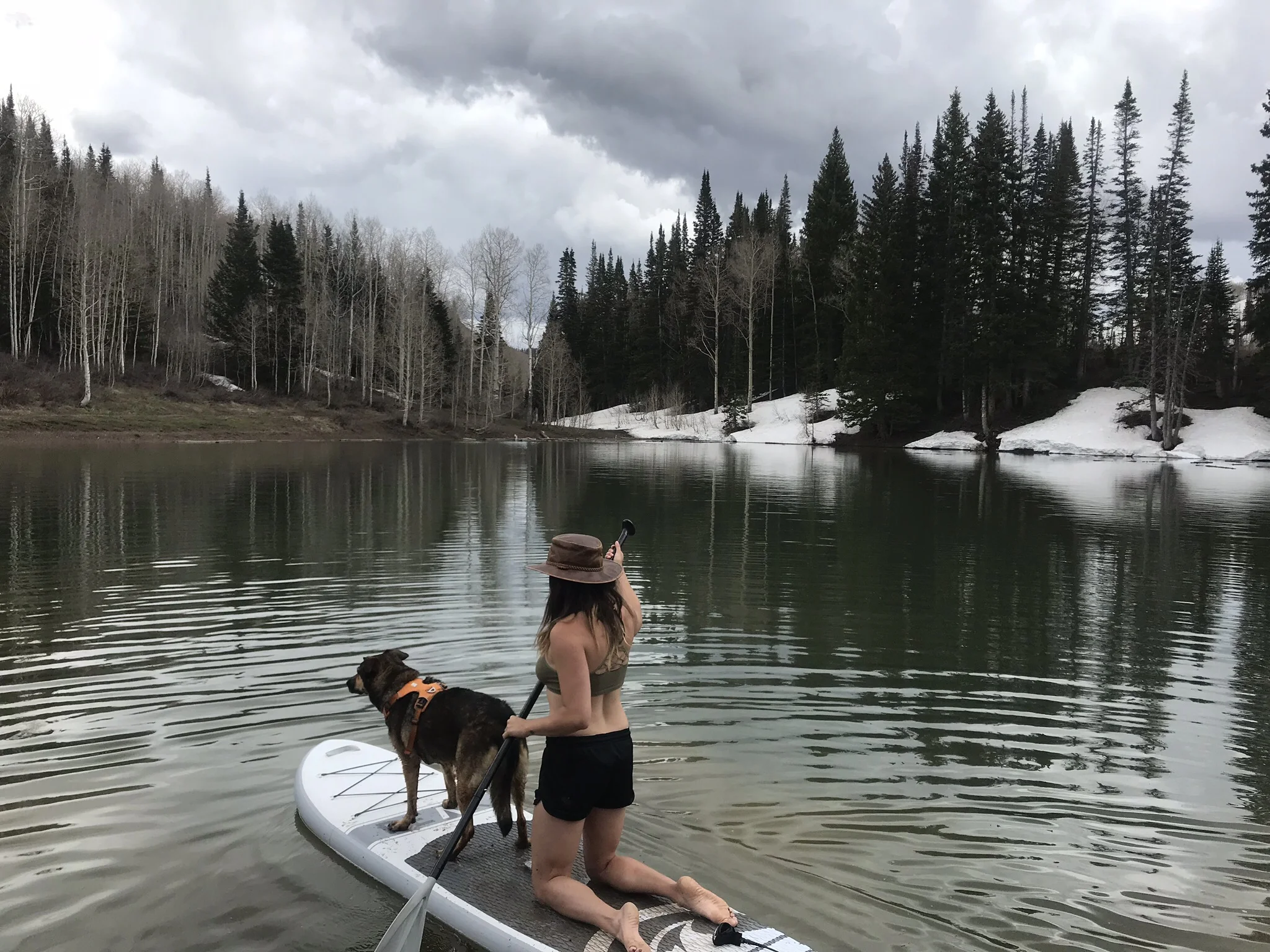 Both pups got tours around the lake 