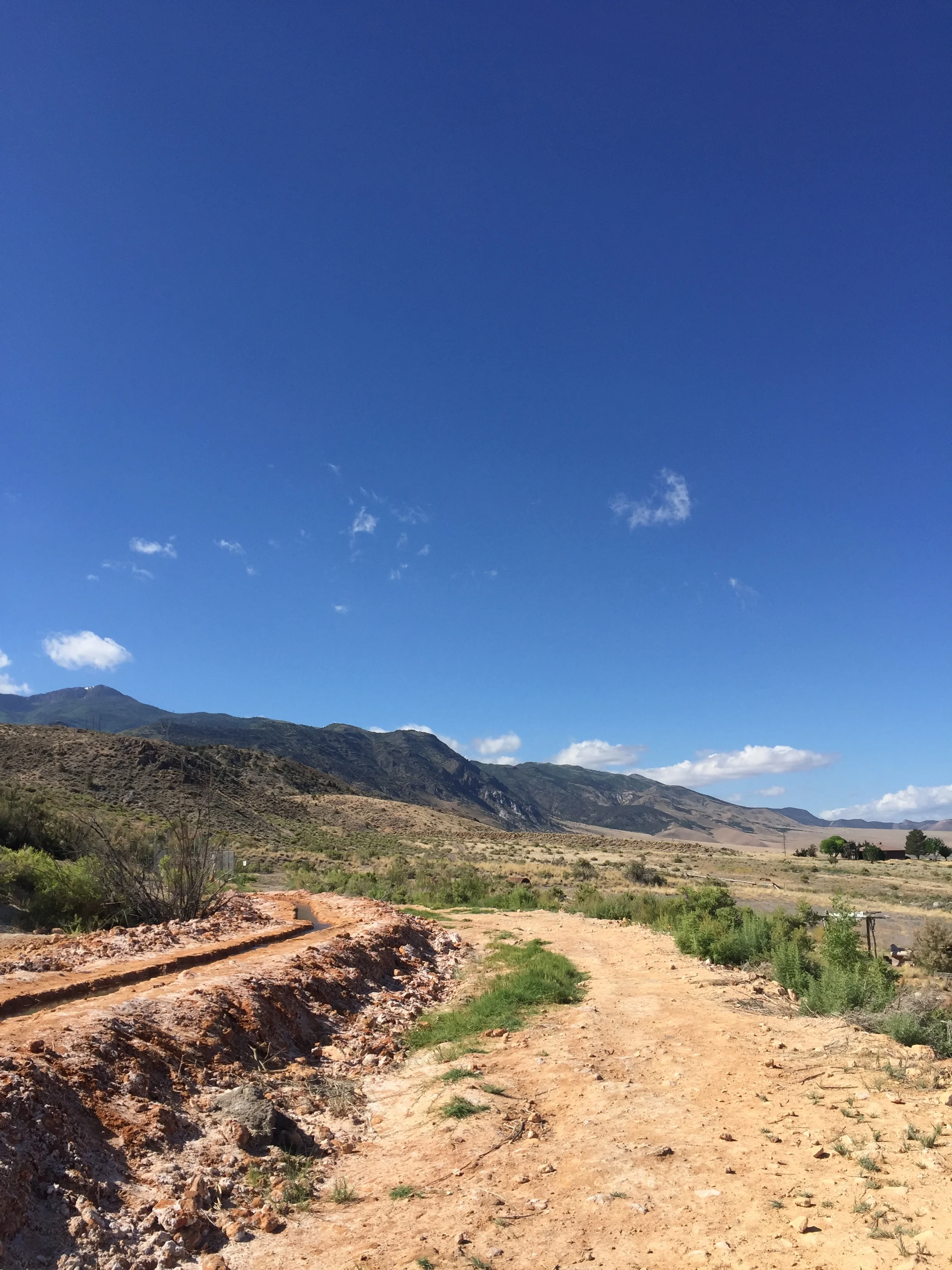 The piping hot water travels along manmade channels. A walking trail follows along it's path. Dogs on leash are welcome to use this trail. 