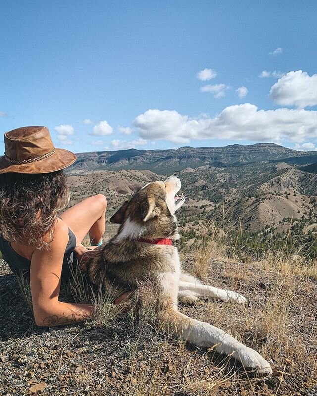 Most people merely enjoy a good view. Jasper positively consumes it.
-
#hikingdogsofinstagram #traveloregon #oregondesert #natureor #choosemountainswomen #campingwithdogs #wolvesinthewind #mydogismy #viewfinder