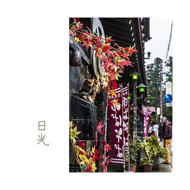 Nikko 2010 🍁☎️🍂