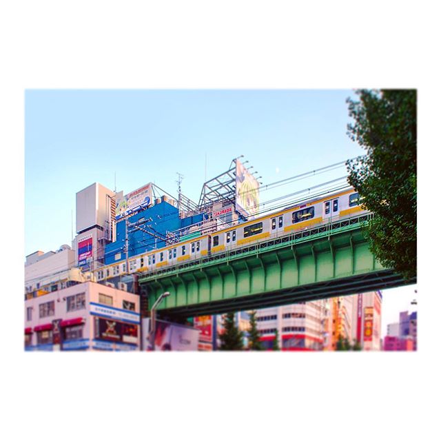 アキバ！！( &acute; ▽ ` )🚋
#秋葉原 #akihabara #アキハバラ #アキバ #akiba #electric #town #electrictown #秋葉原電気街 #chuodori #tokyo #東京 #電車 #densha #train #city #street #sky #空 #photography #街撮り #橋 #bridge #tiltshift #ティルトシフト #colors #instagood #japan #日本