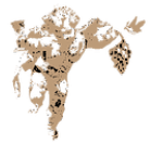 b2c675_f44da4dcc84148fab5b38b0a5e52ad44.png