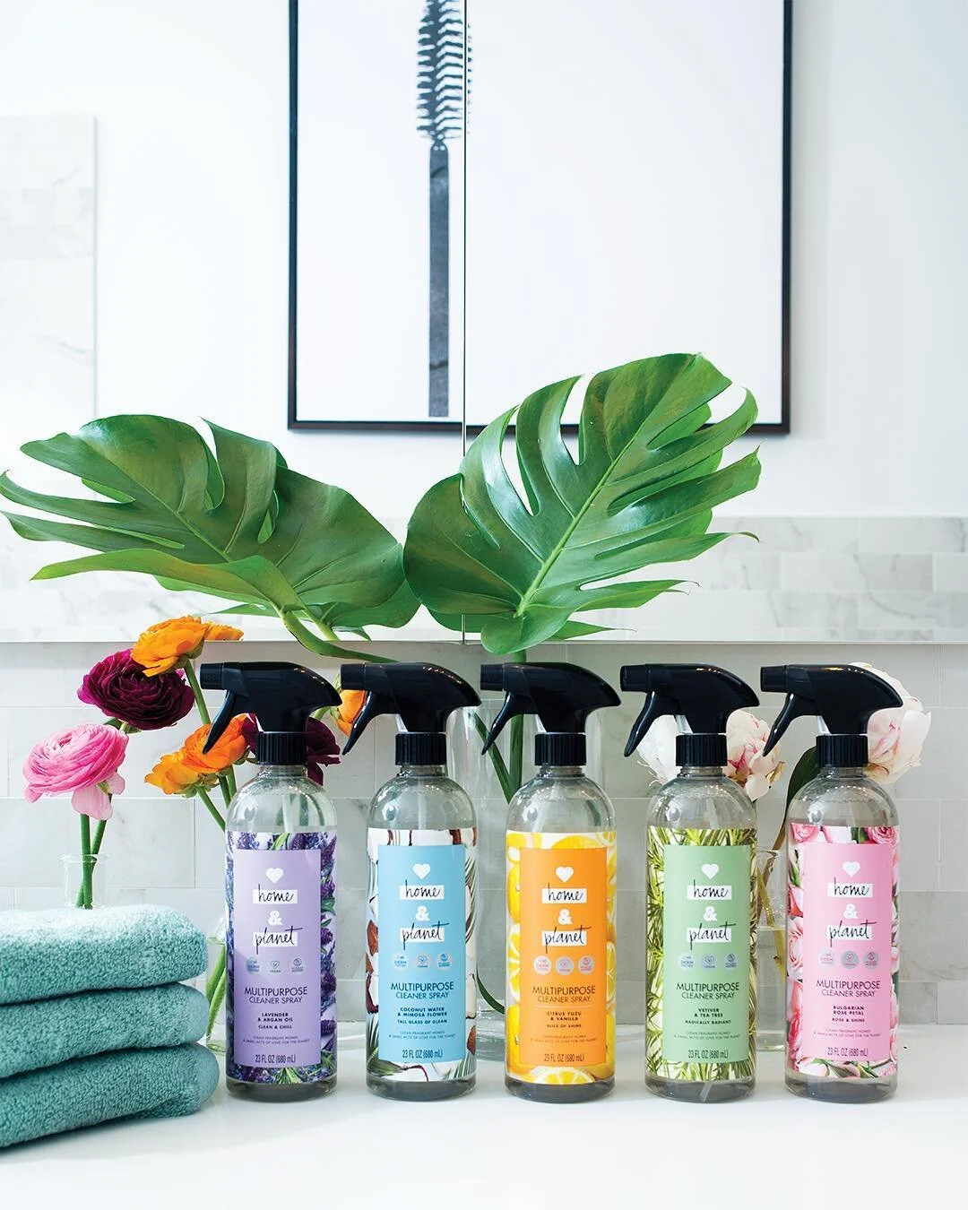 will jellicorse love home and planet.jpg