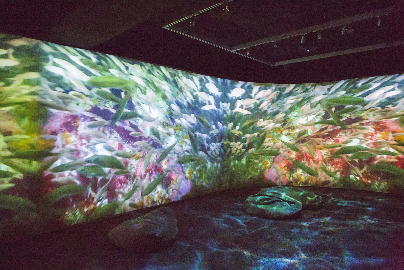 2014_04_15_omca_0138_JR.jpg