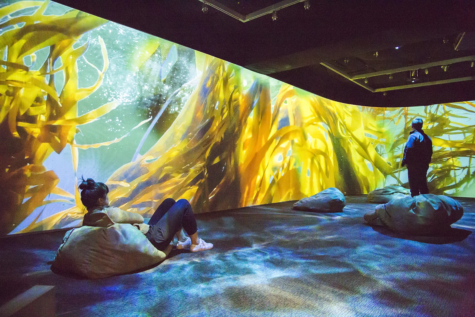 2014_04_15_omca_0223_JR.jpg