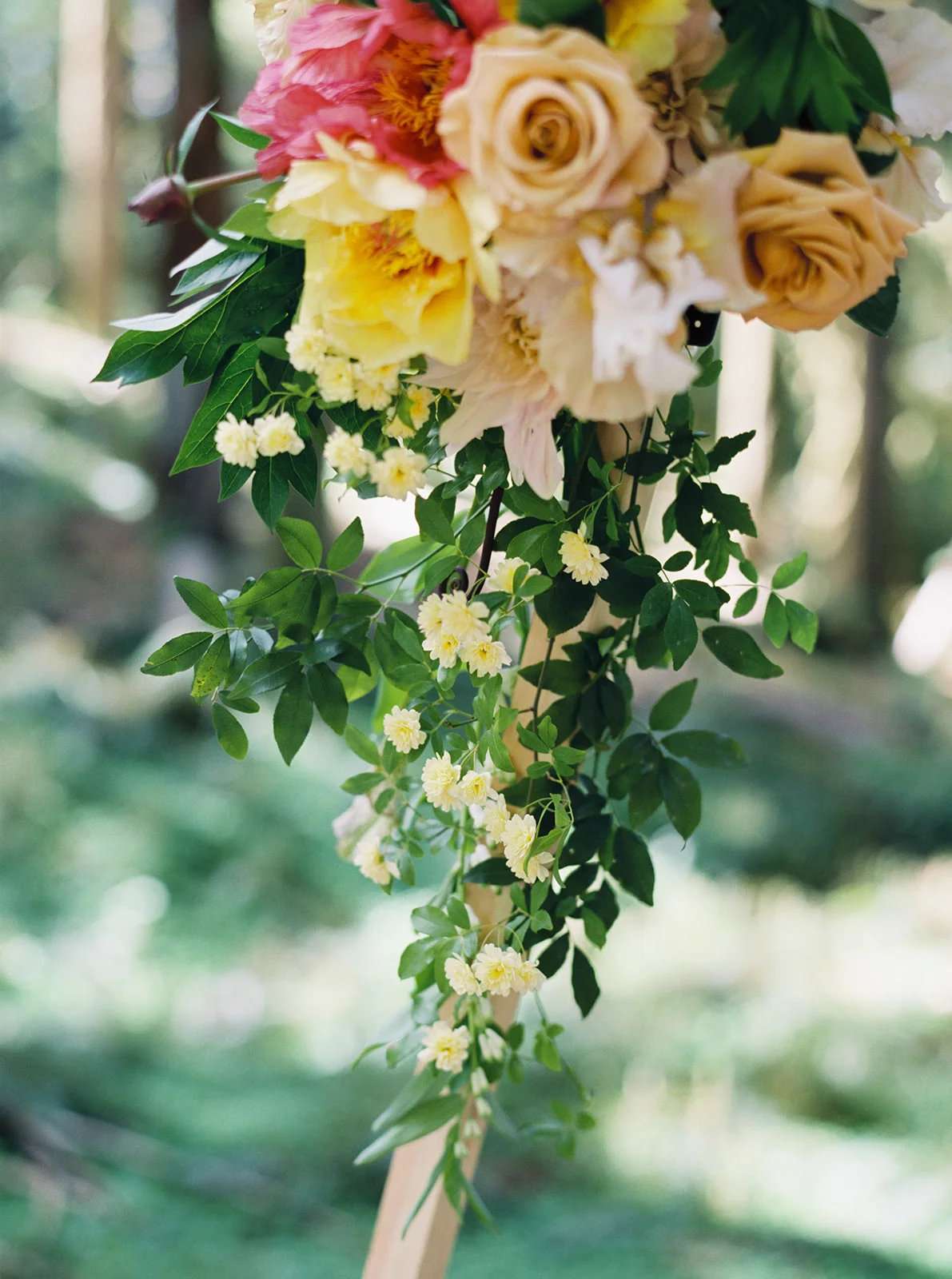 a Carlos-Hernandez-Photography-285.jpg