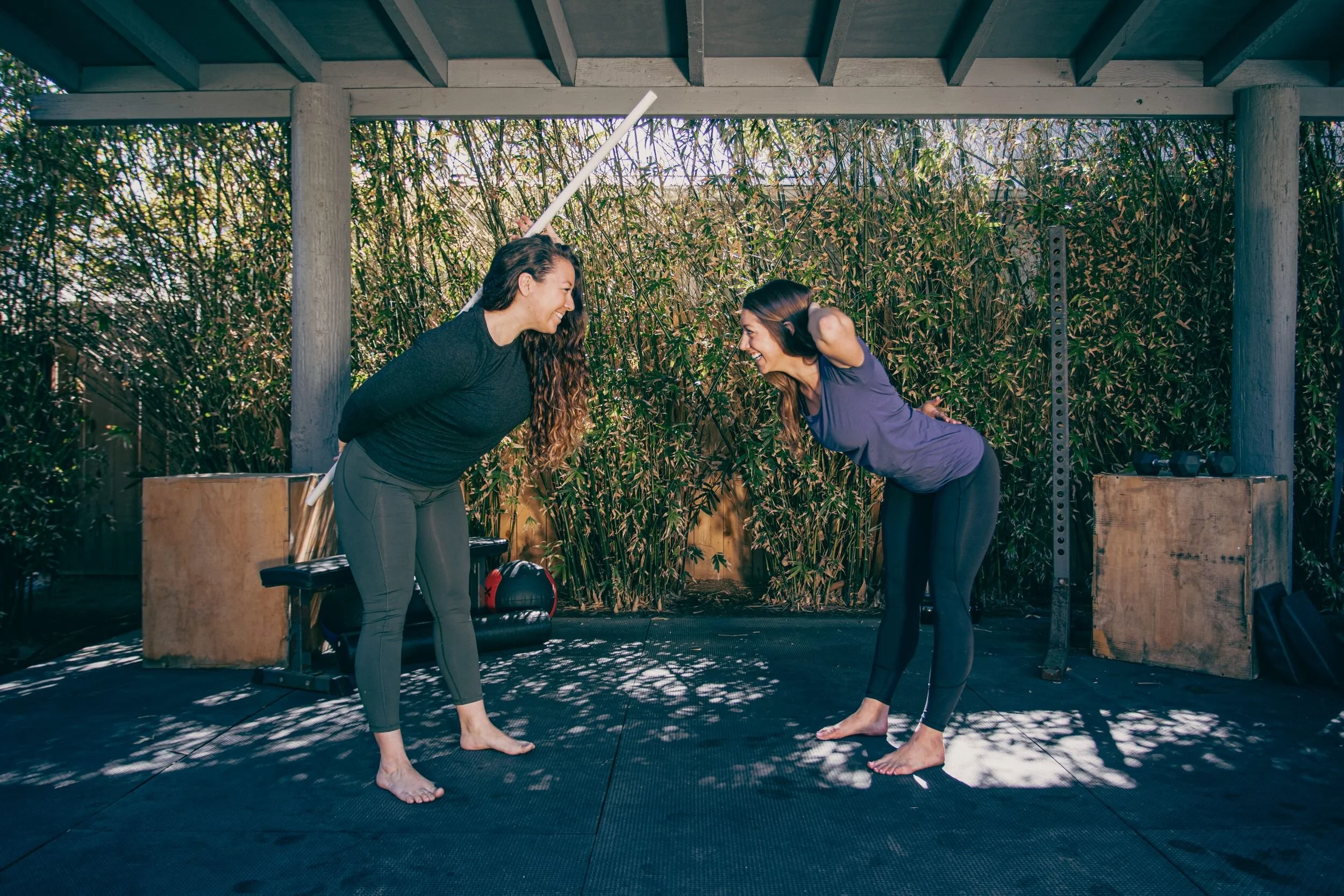 Online Exercise Courses