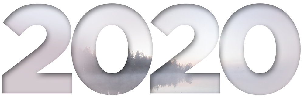 2020.png