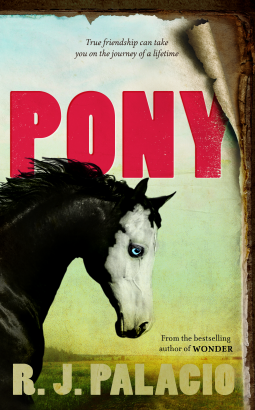 pony.jpeg