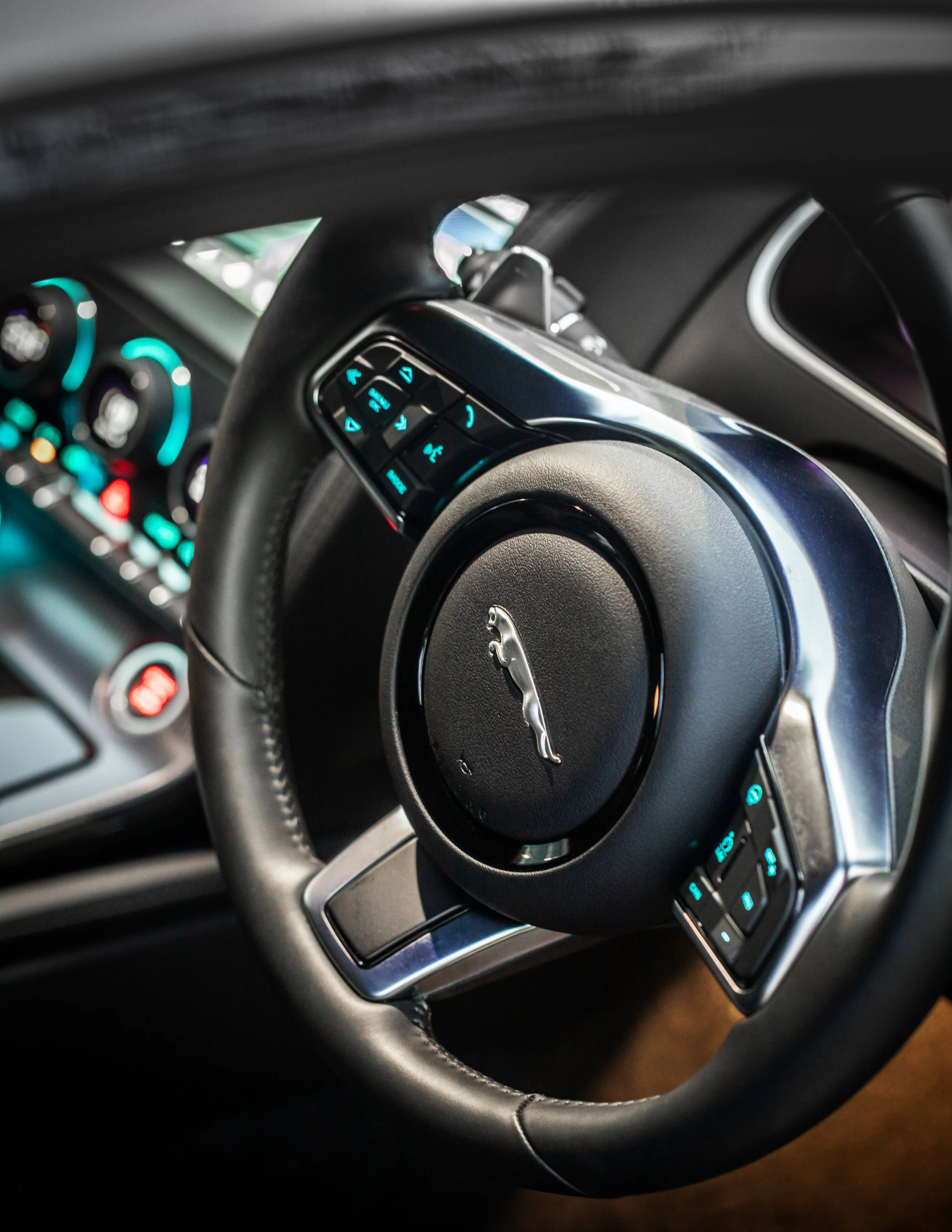 IMG_7036.jpg