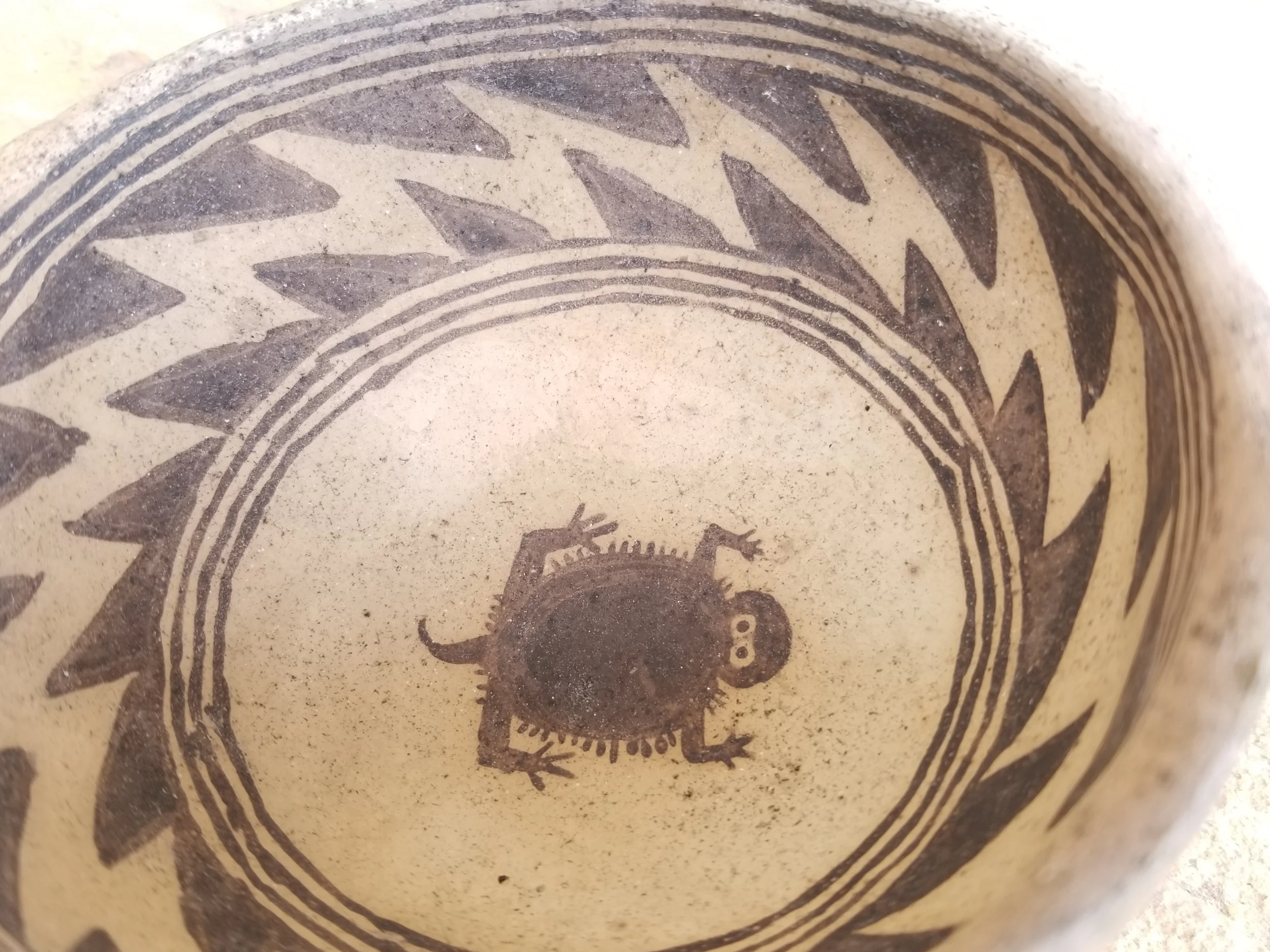 20180313_122237.jpg