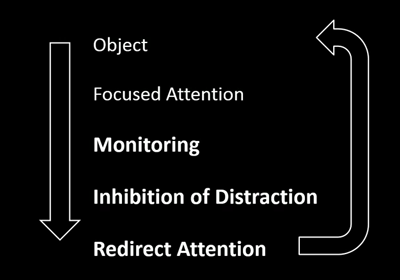 “It is this monitoring, this watching the brain itself which has been argued to be a key component in developing the pre-frontal cortex.” - Doctor Marteen Imminck, Academy of Yoga Science, Mangrove Mountain.