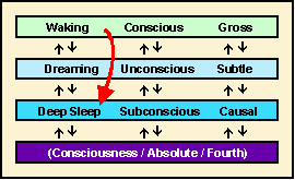 Yoga Nidra will take us beyond the dream state, into the subconscious mind and beyond - the practice is a portal into our timeless, immortal truth. Source: http://swamij.com