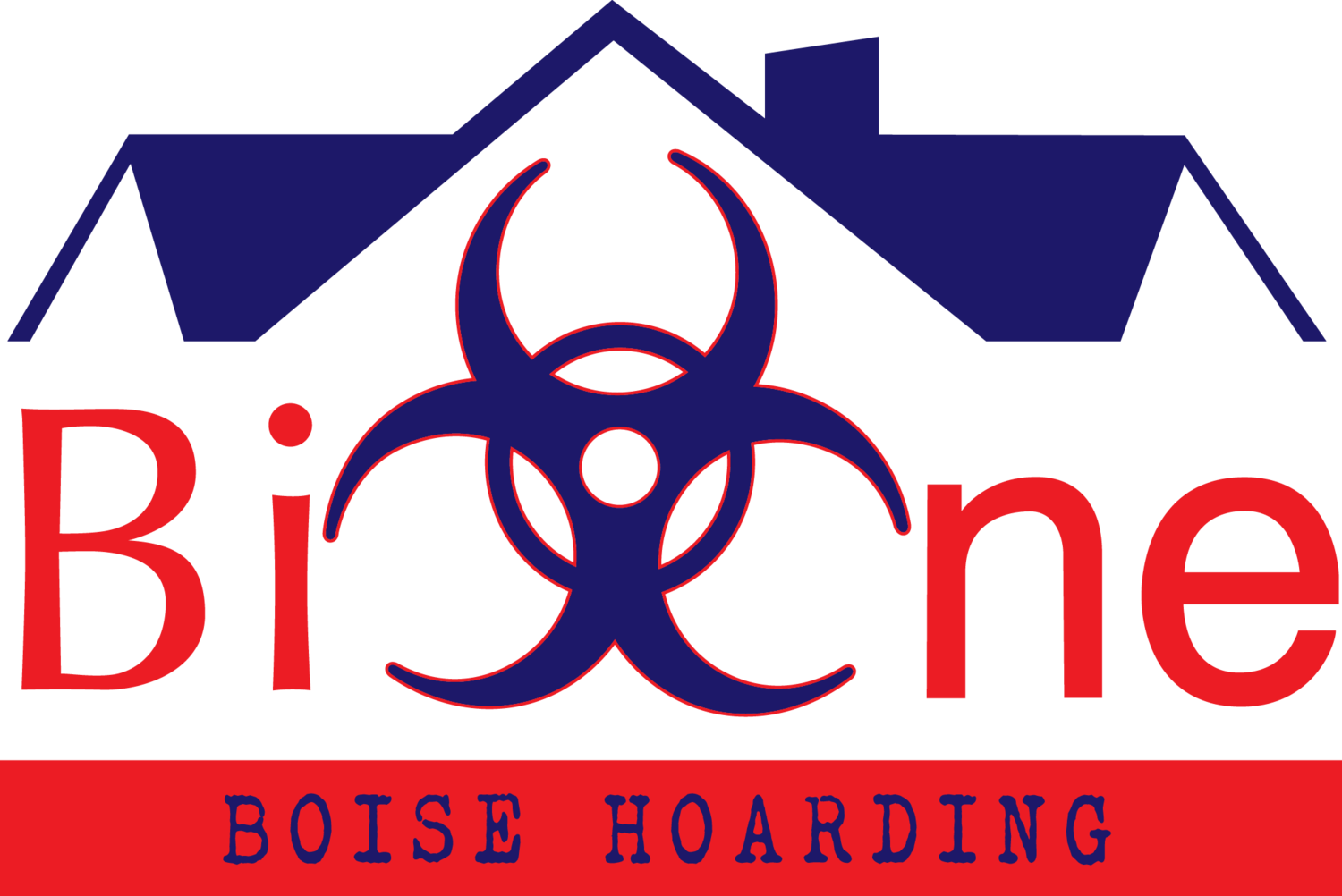 Boise Hoarding