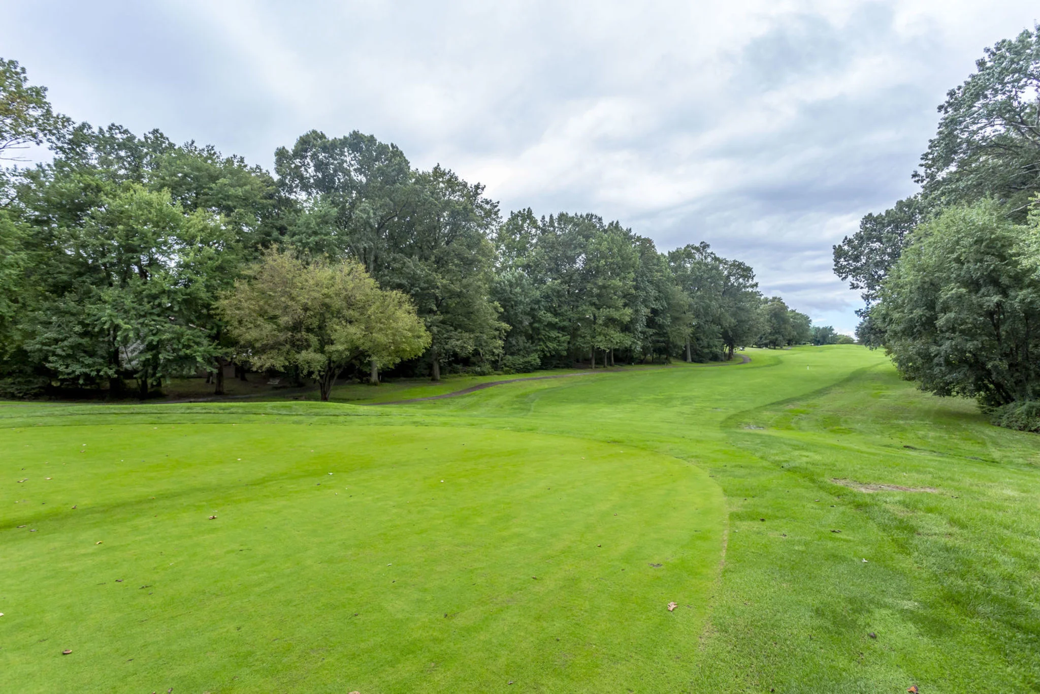11514_links_dr_reston_va_20190-40.jpg