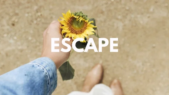 Issue 2 - ESCAPE: Newrybar and Byron