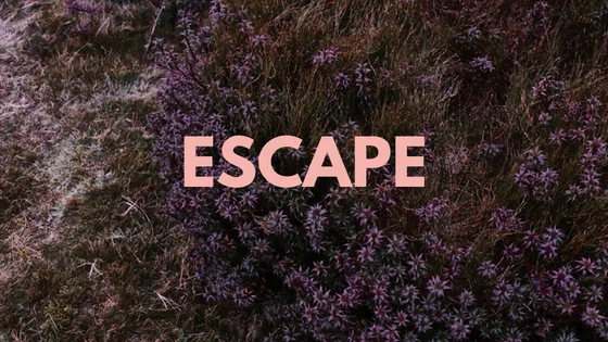 ESCAPE-2.jpg